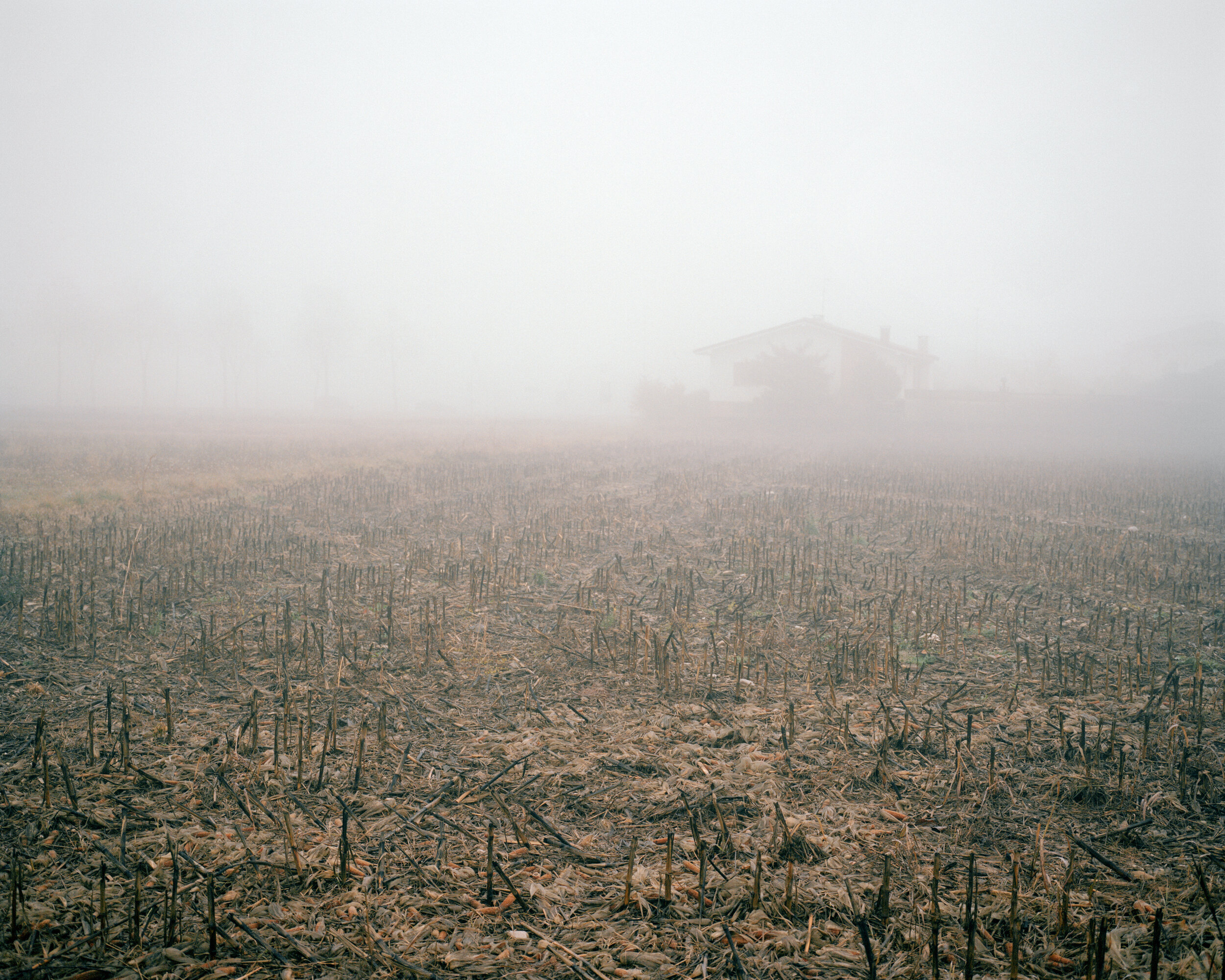 Alberto Maserin - Interferences - Untitled (fog).jpg