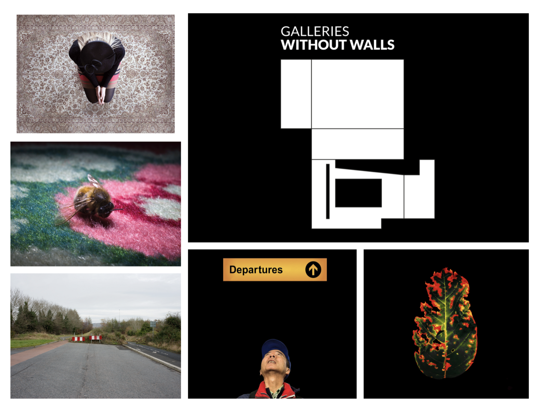 Galleries Without Walls — Photo Museum Ireland