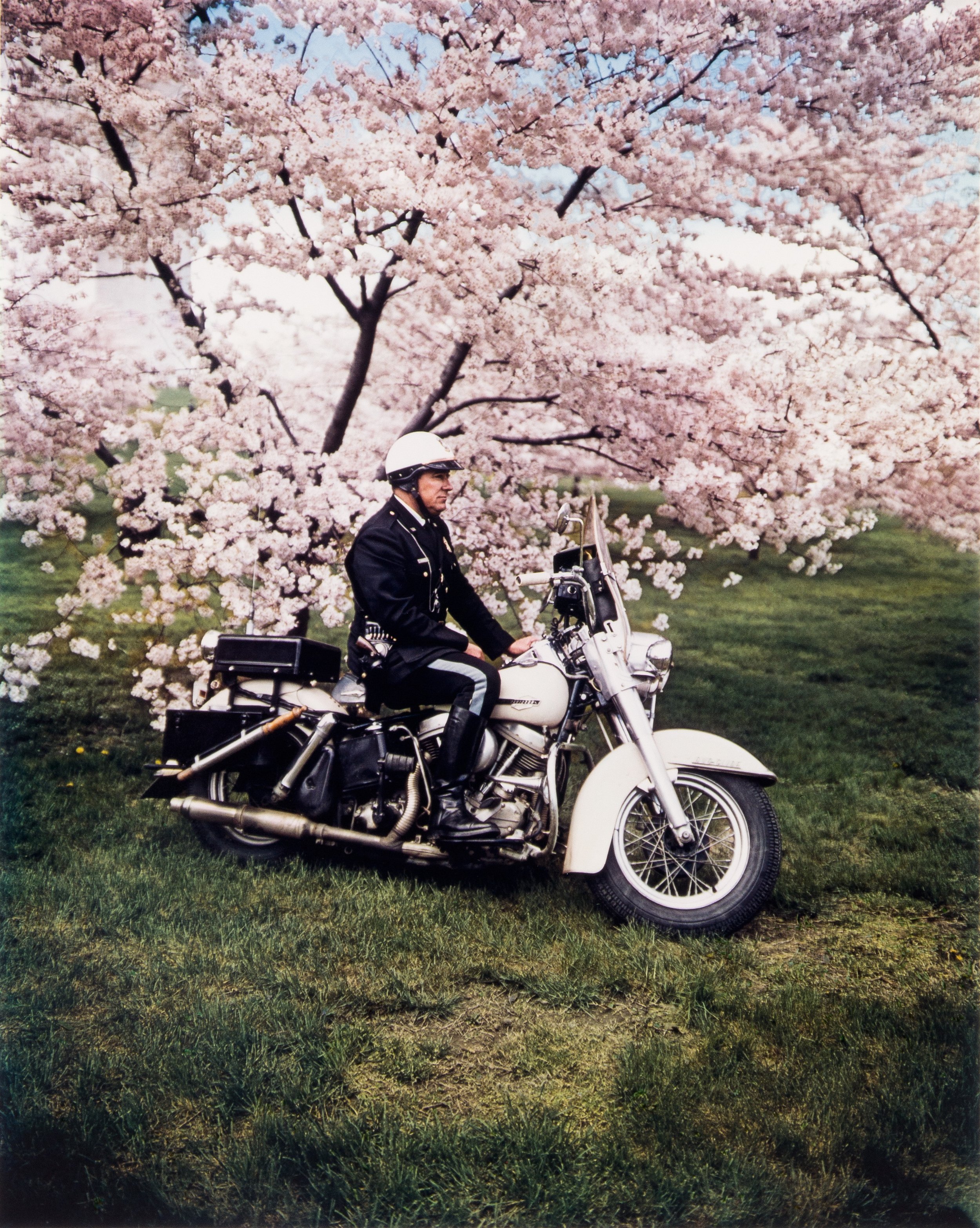  Springtime, Washington 1965 © Evelyn Hofer 