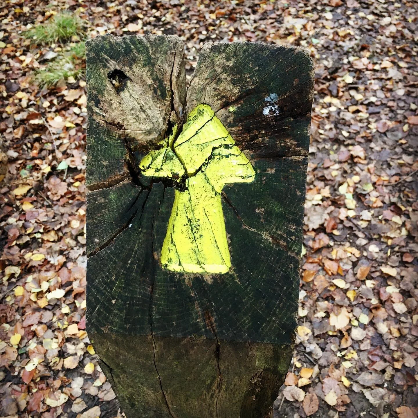 Looking forward to the projects we&rsquo;ve got coming up in the next few months like 👁👄👁

Can you guess which #greenspace this sign post is from?

#interactiveart #adventure #interactivetheatre #digitalart #digitaltheatre #pandemicart #pandemicth