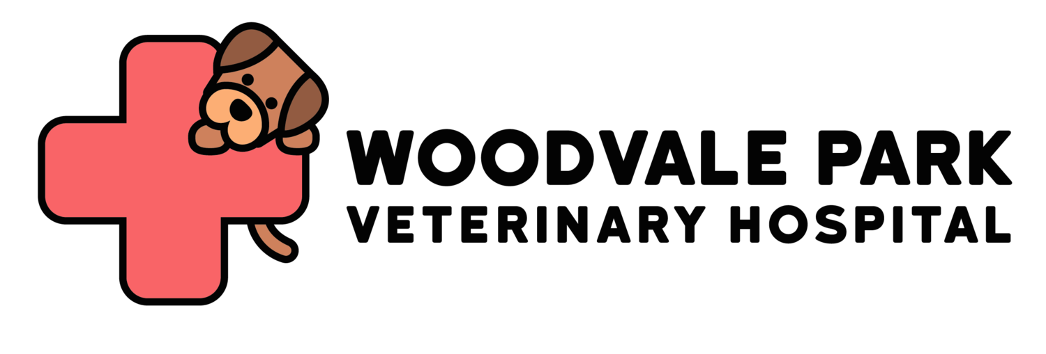 Woodvale park veterinary hospital