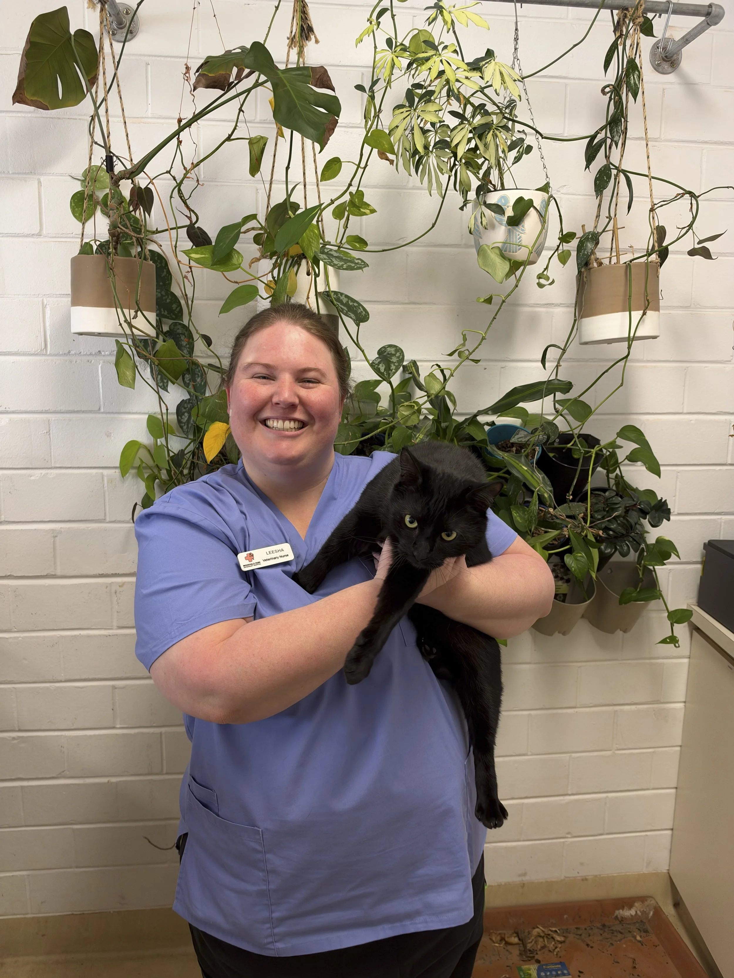 A woman in blue scrubs smiling and holding a black cat in front of a white brick wall with hanging potted plants.