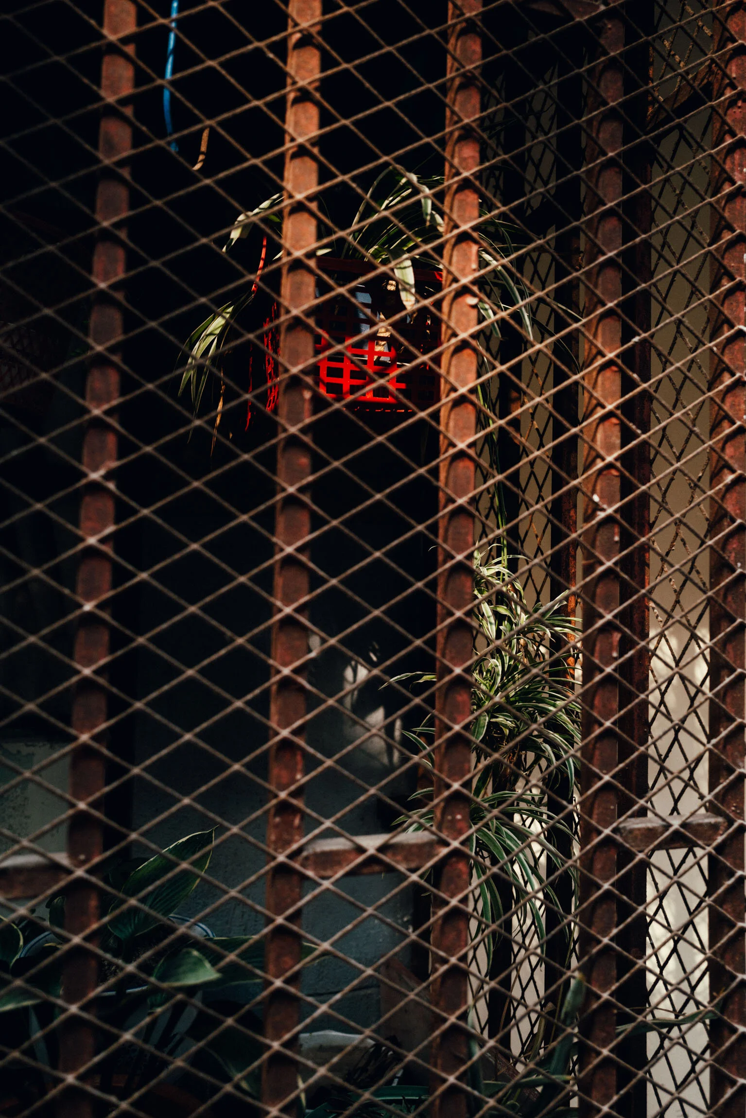 ILLGANDER-1380489.jpg