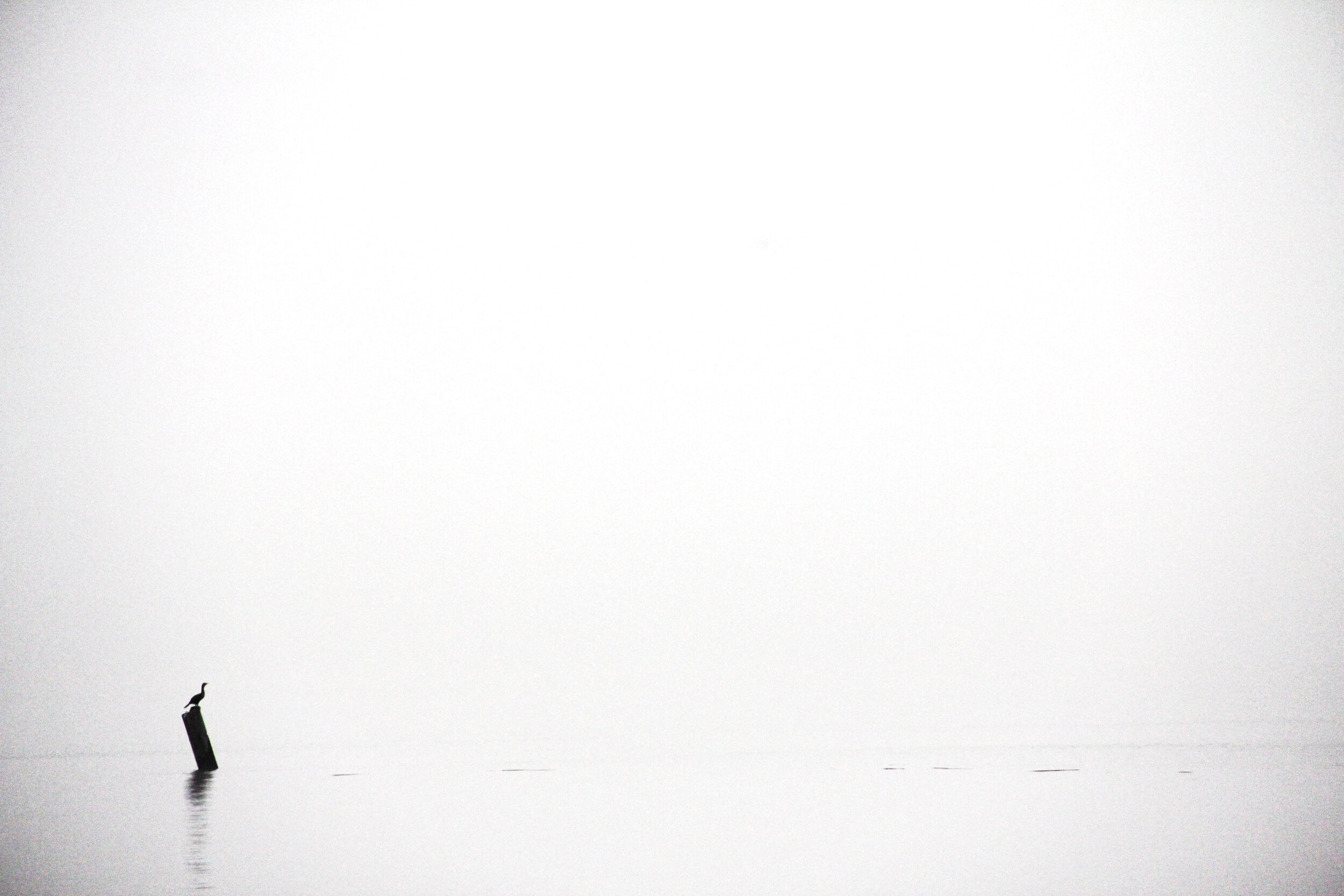  ALEX  WORKS  WITH  INDIVIDUALS  ONE-ON-ONE  AND  GROUPS  IN  A  NUMBER  OF  AREAS  SUCH  AS:   FINDING  LIFE’S  PURPOSE,  RELATIONSHIP  CONFLICTS,  LACK  OF  DIRECTION  TOWARDS  GOALS,  LIMITING  FEARS,  GUILT  &amp;  SHAME,  LACK  OF  SELF-APPRECIATION,  CAREER  CHANGE  STRESS   Read more →  