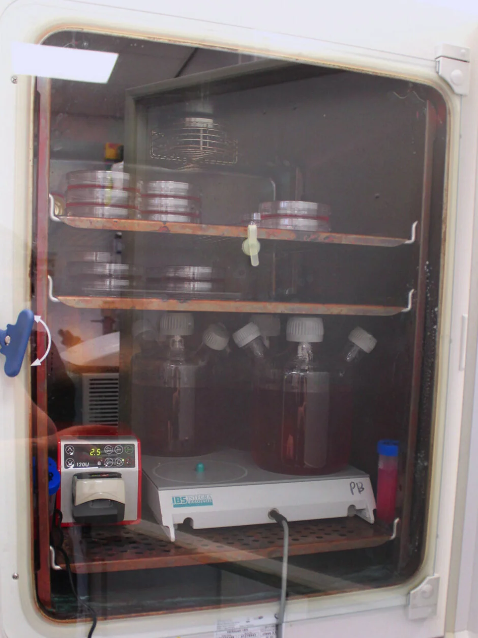 BioDesign_Institute.jpg