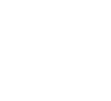 Iris Worldwide