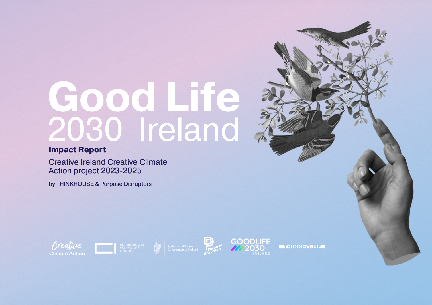 Good Life 2030 Ireland Impact Report