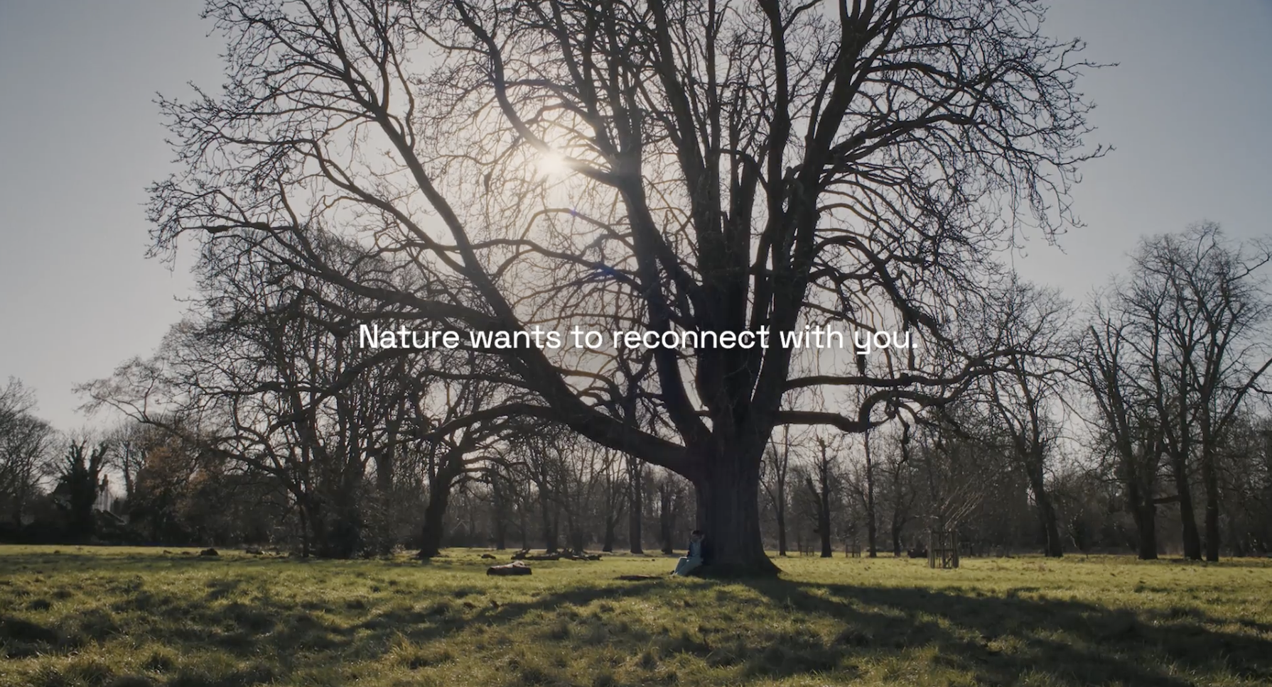 Nature as subject or nature as author?