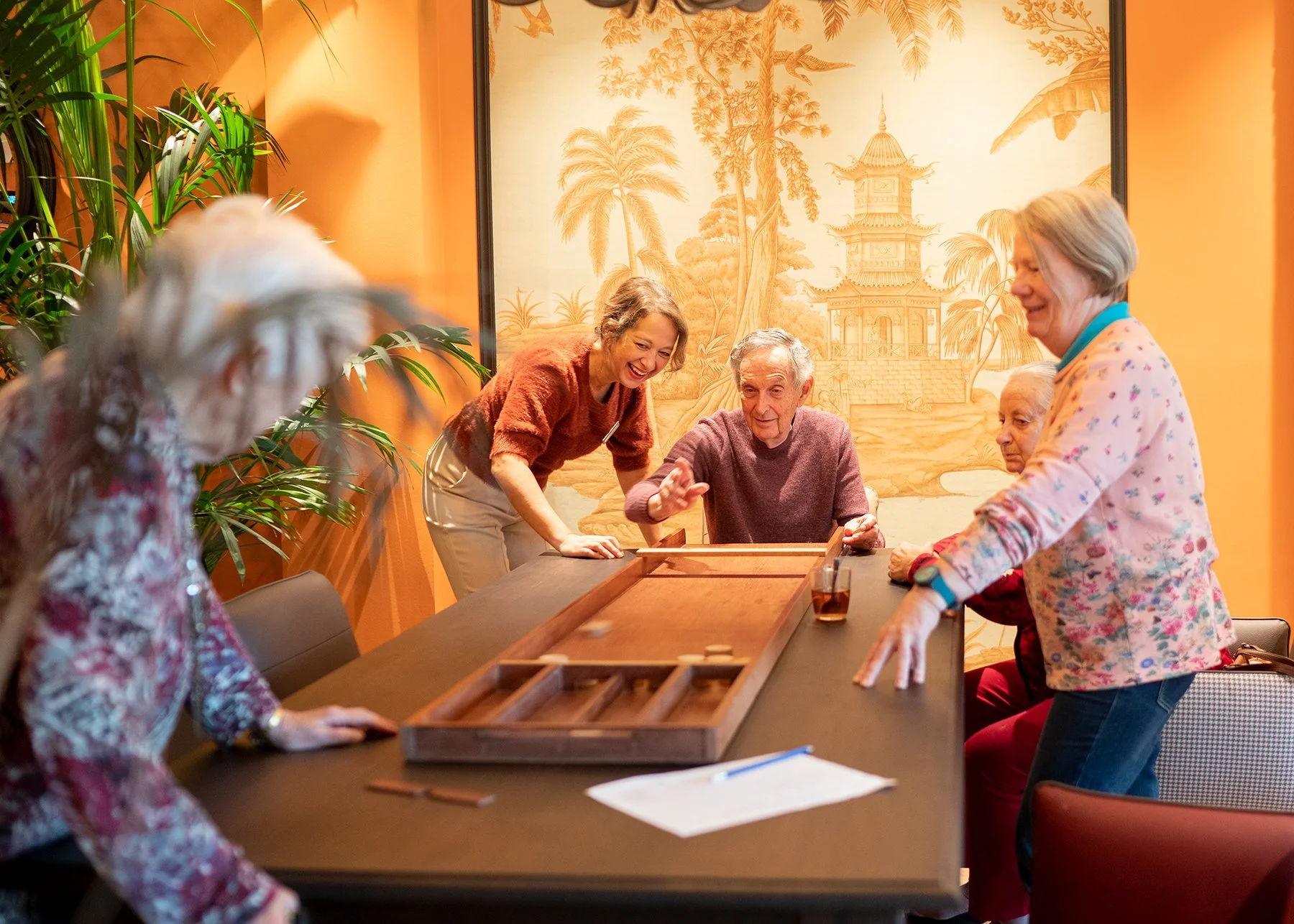 Gastvrouw en Buurtgezel (activiteiten begeleiding) Eindhoven, 20-24 uur