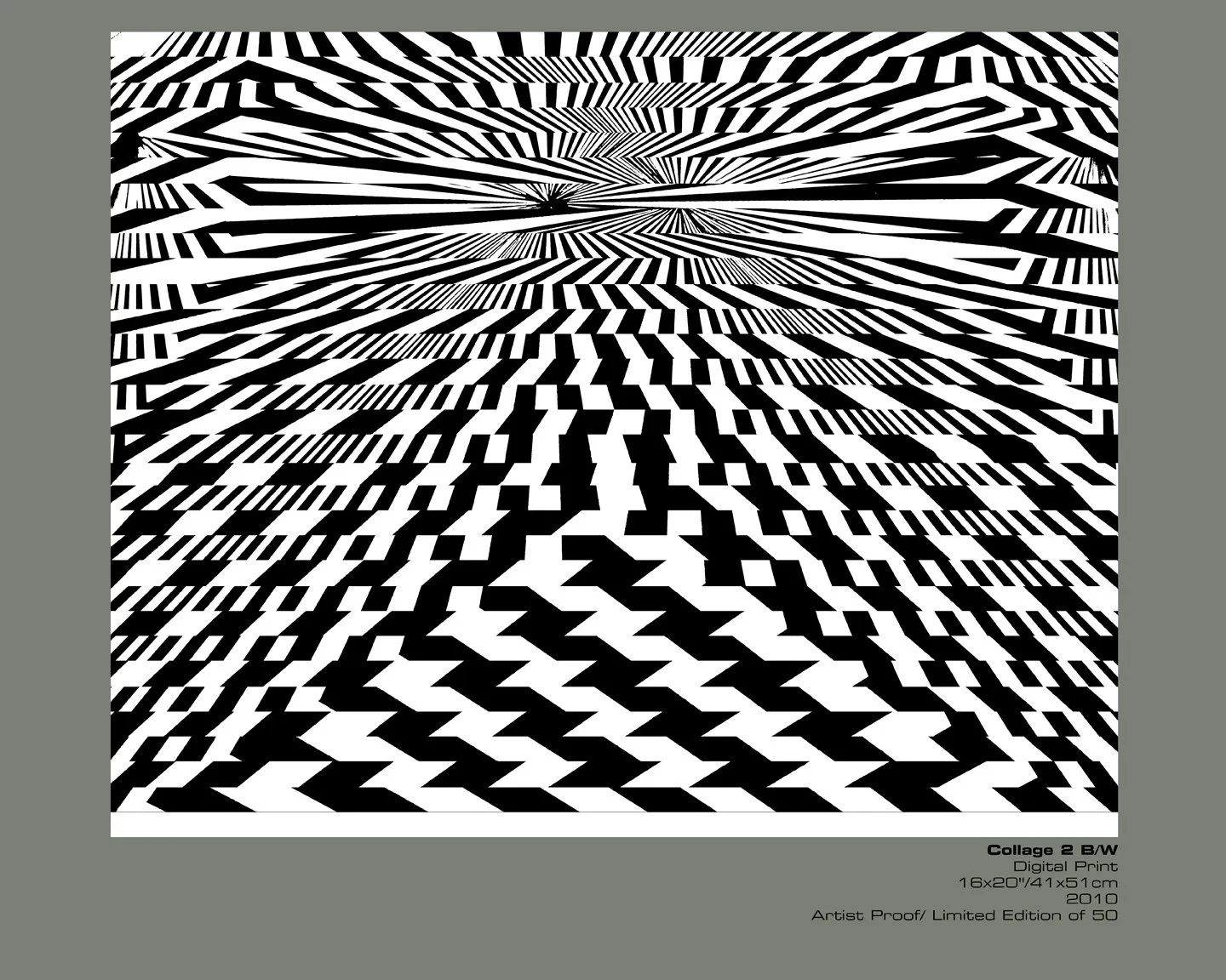 Hires.Collage#2.BW.2010.jpg
