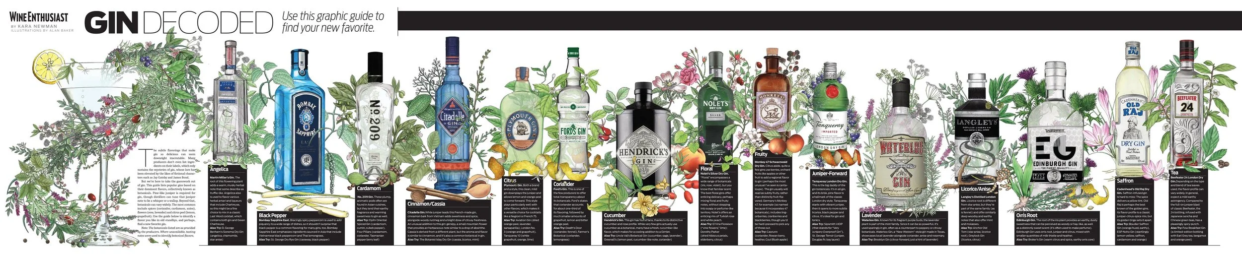 Gin_Gatefold_SM.jpg