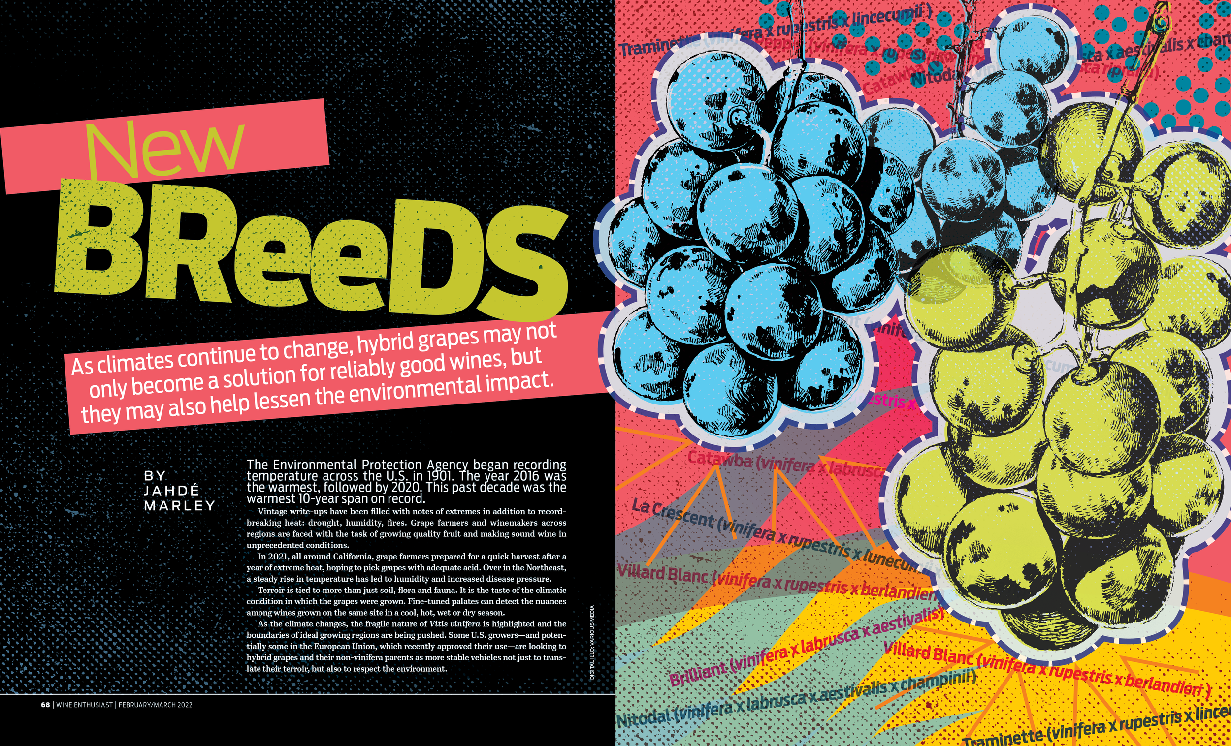 020322_Hybrid_Grapes_WC copy.png