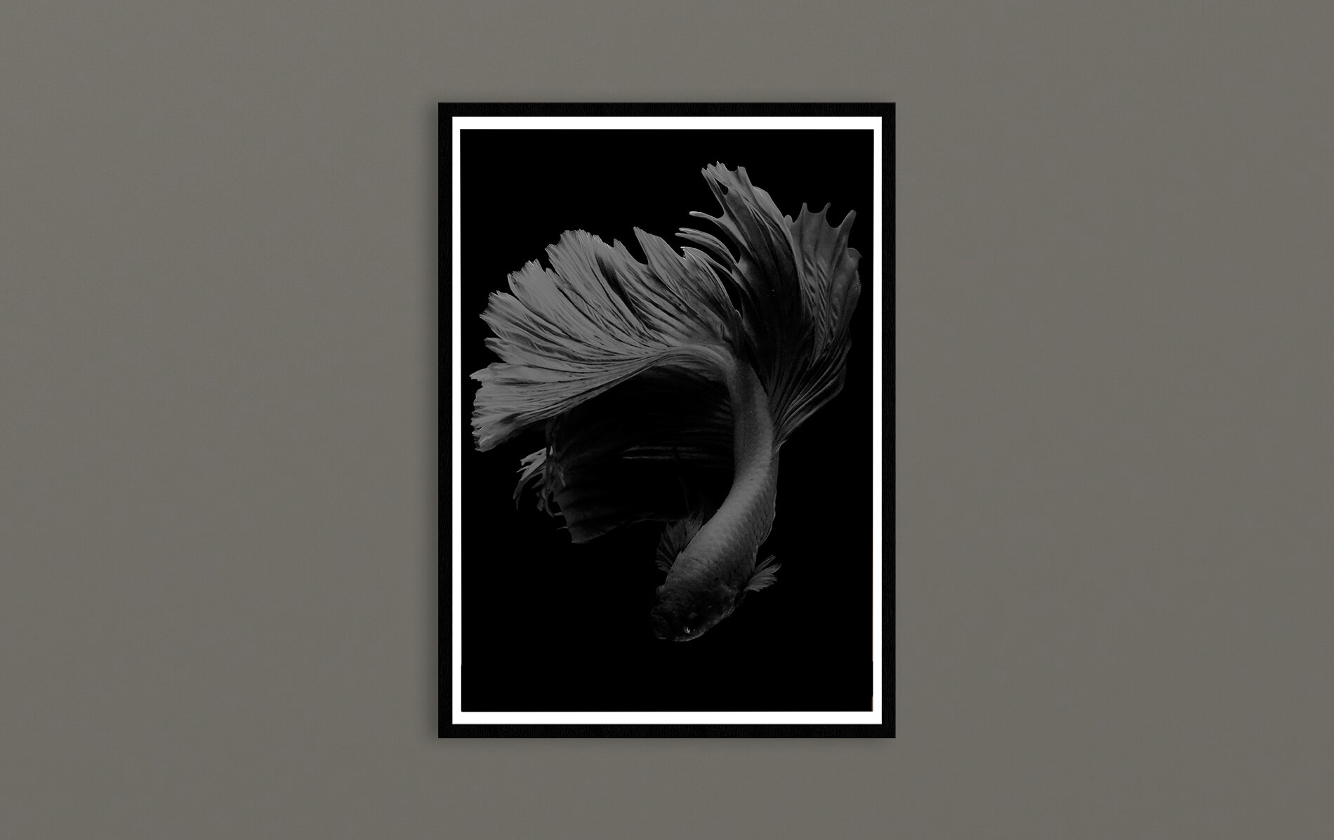 Betta-Fish_Artwork_(30x40cm)_frame_.jpg