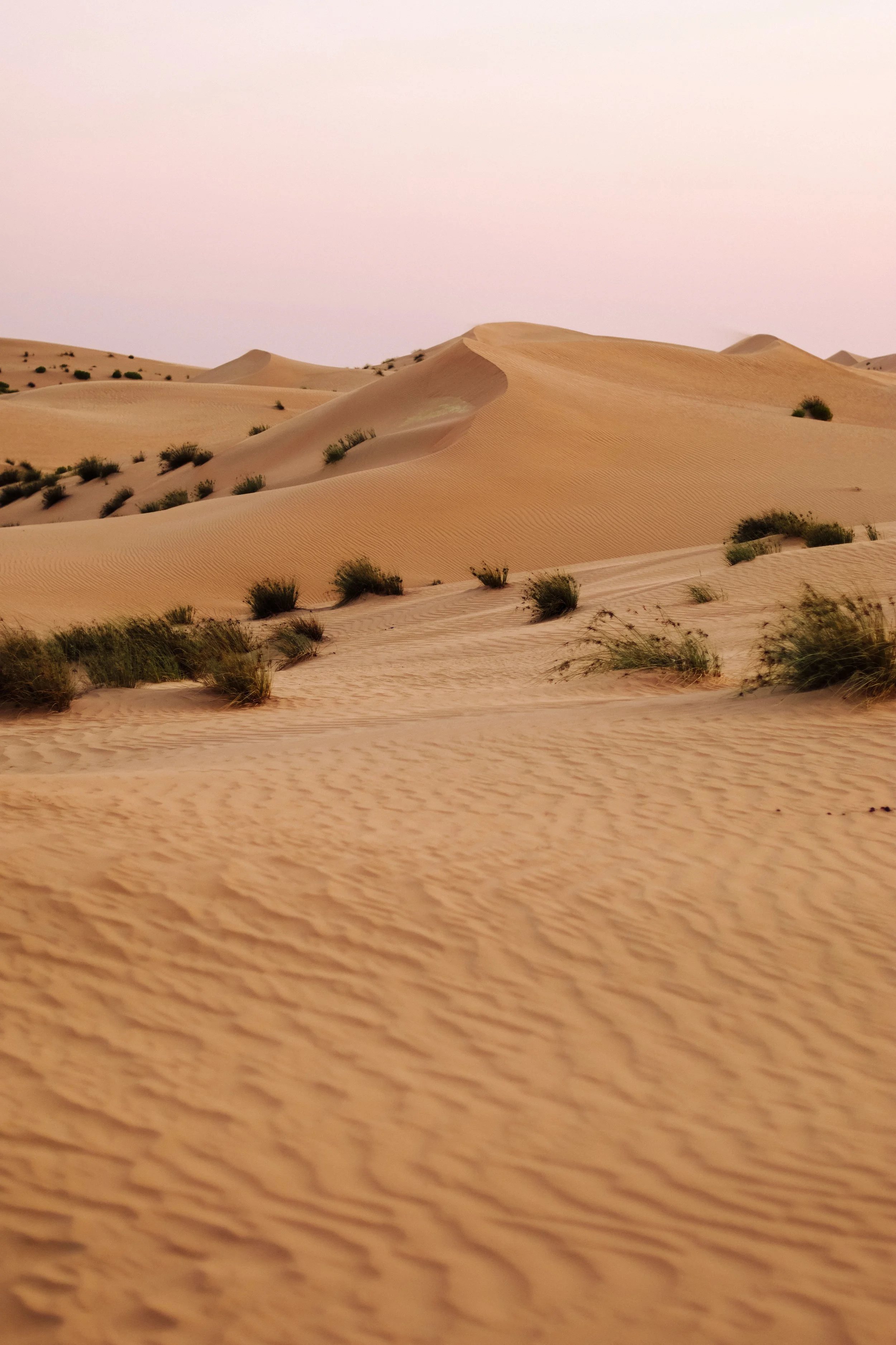 Geometry In The Sand