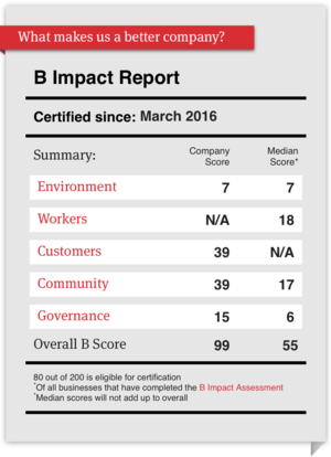 Above are the outcomes of our initial Impact Assessment. As you can see, our focal points are customer and community.