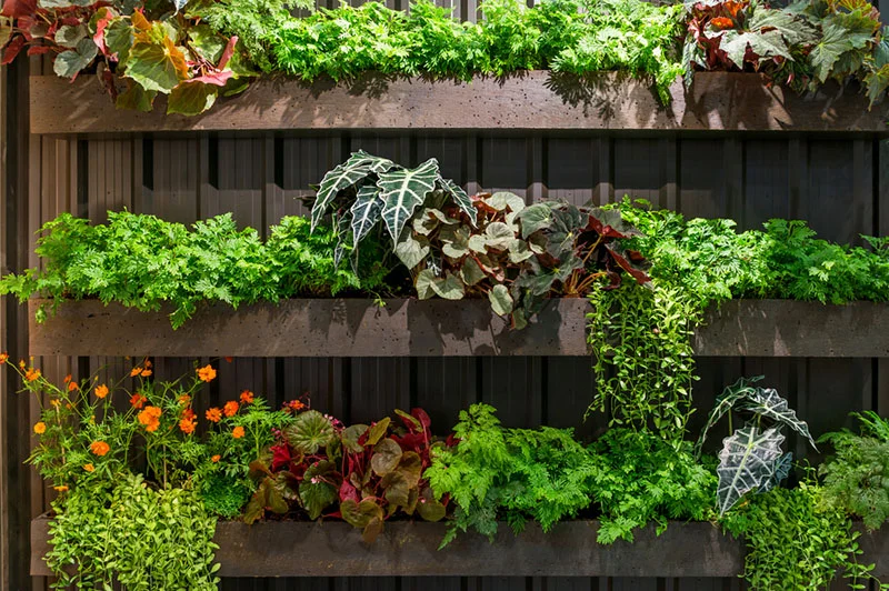 Vertical Gardens
