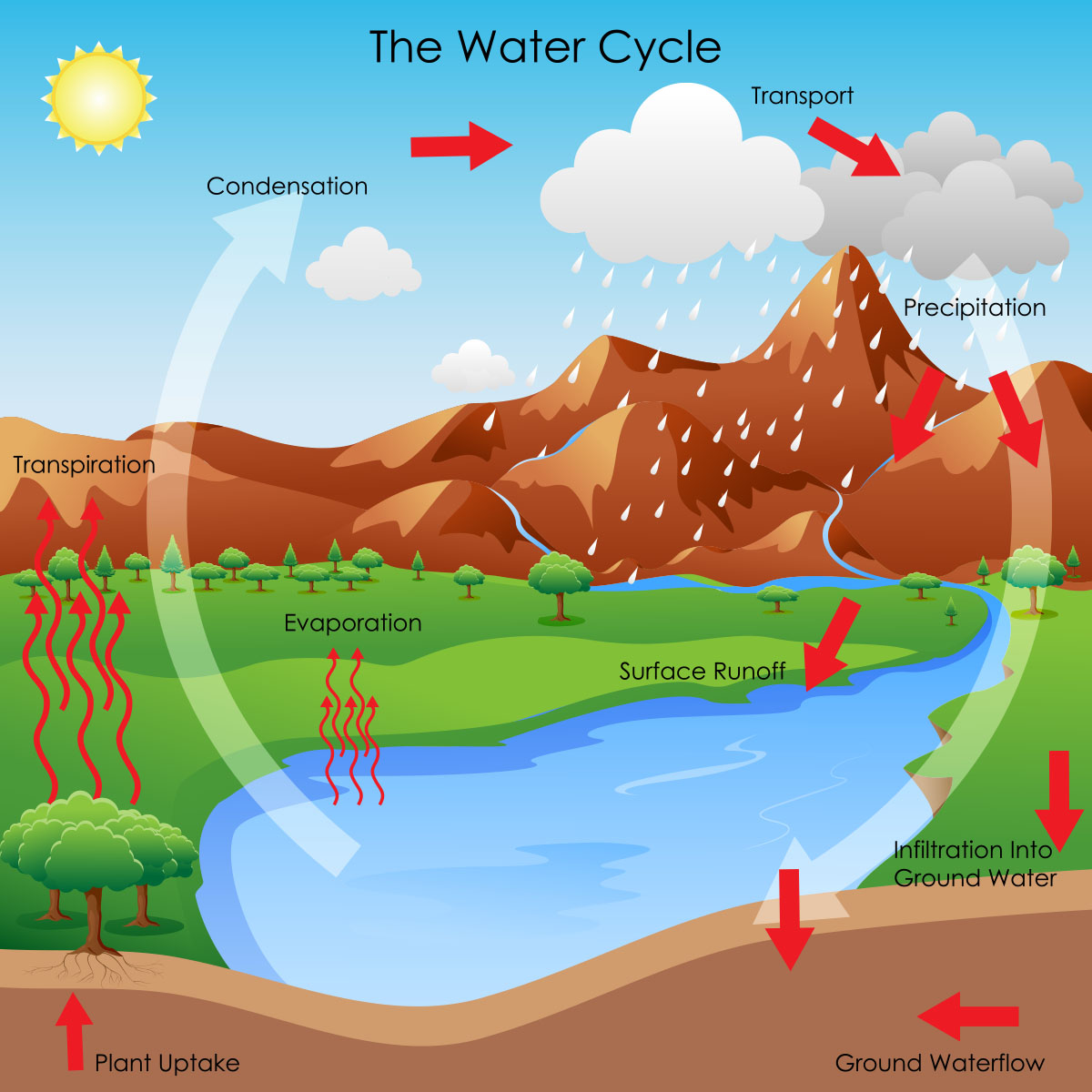 The Water Cycle — Kentucky Ready Set Grow Regarding The Water Cycle Worksheet Answers
