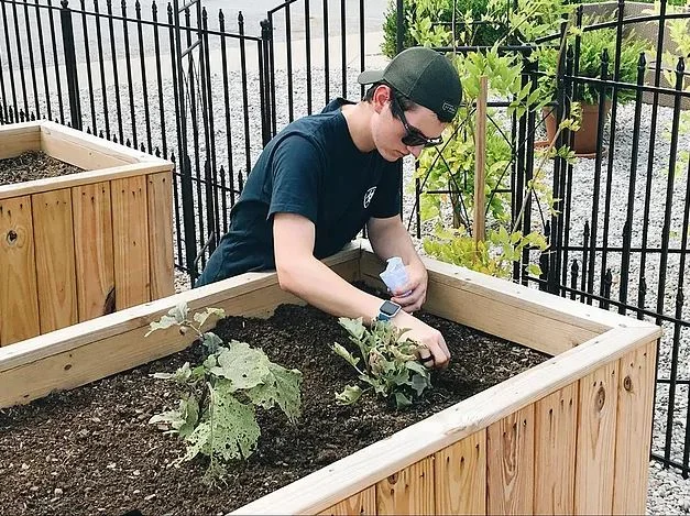 The Castle as a Classroom