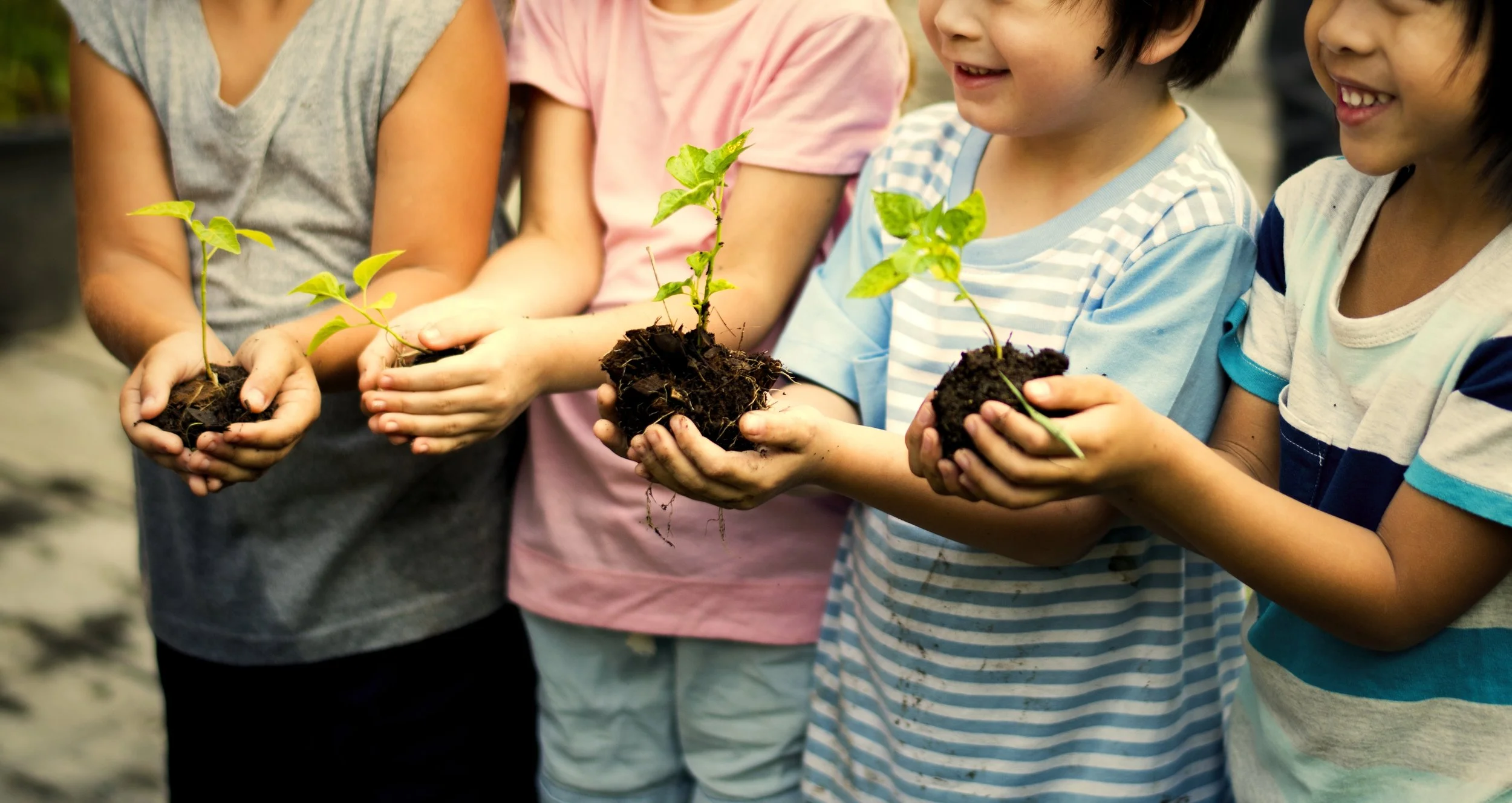 Cultivating Community: The Social Benefits of School Garden Programs