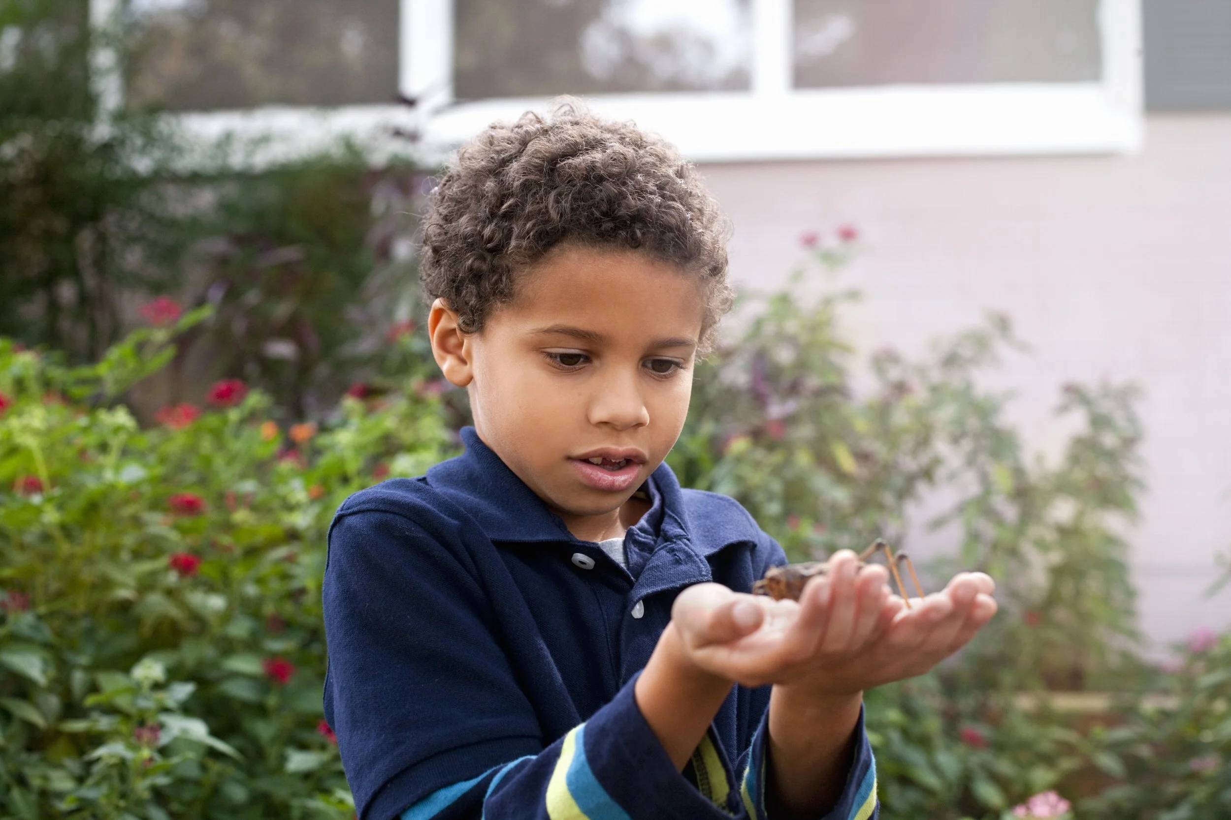 The Outdoor Laboratory: Learning Science through School Gardens