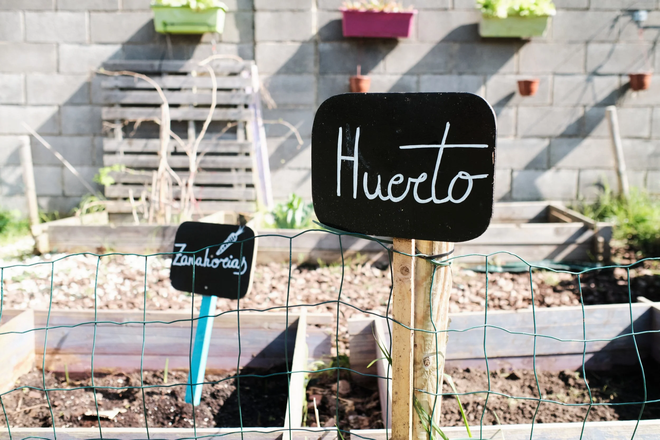Cultivating Life Skills: The Social Lessons Learned from School Gardens