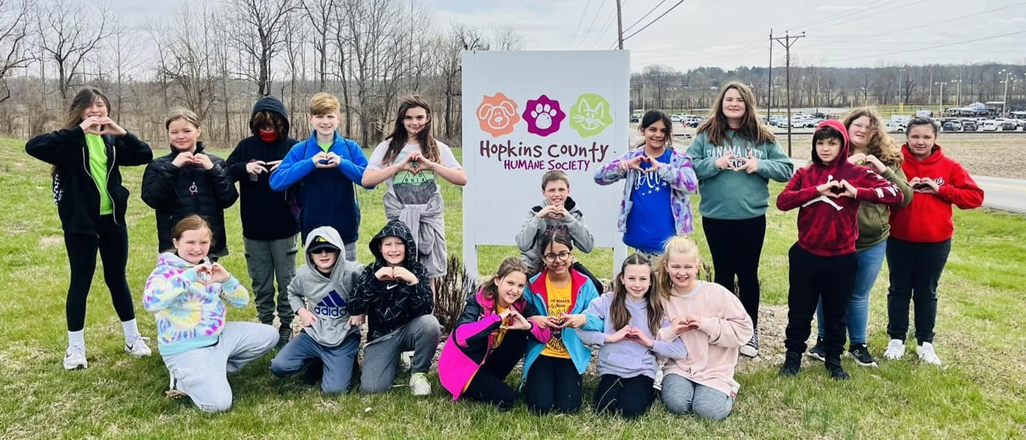 Curiously Delightful: PES Courtyard of Curiosity