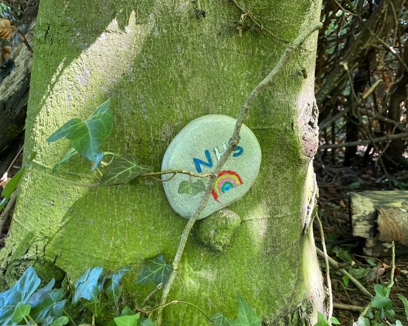 Painted stones hidden around the town