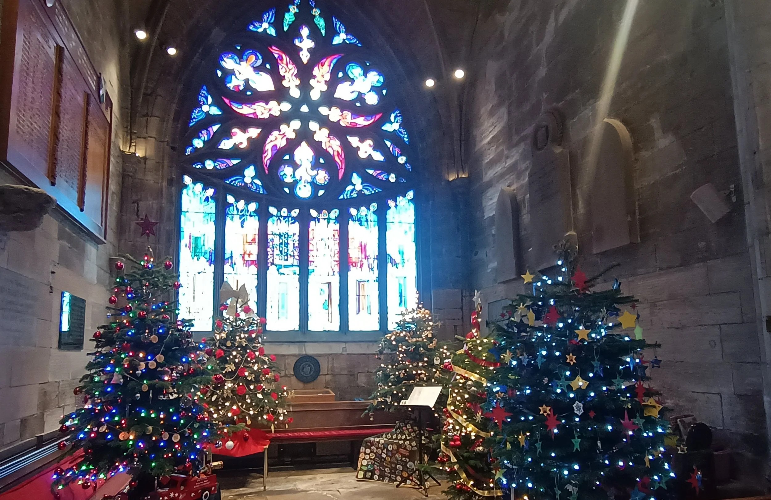 Festival of Christmas Trees