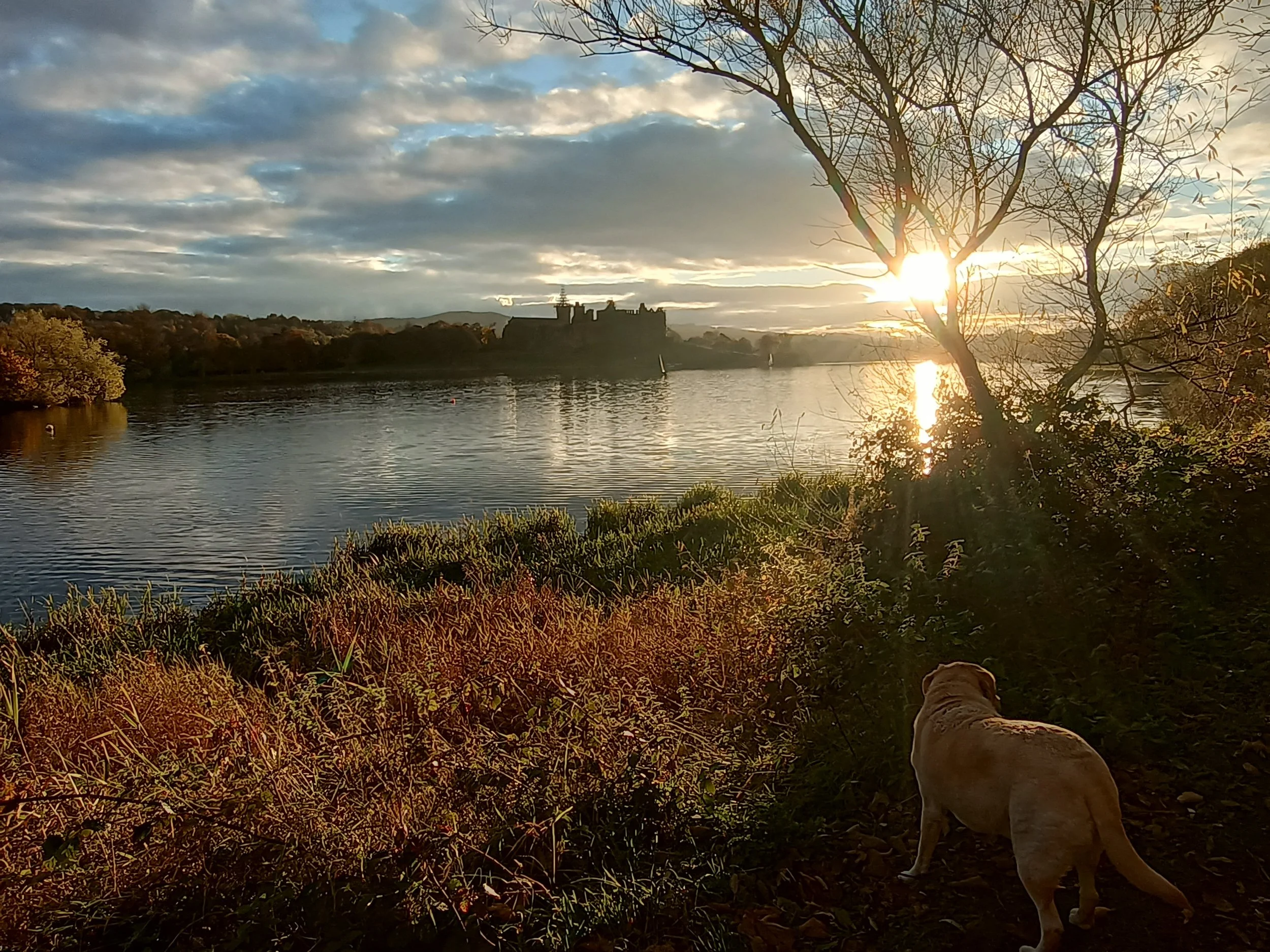 Iron Age Linlithgow: Arriving in November