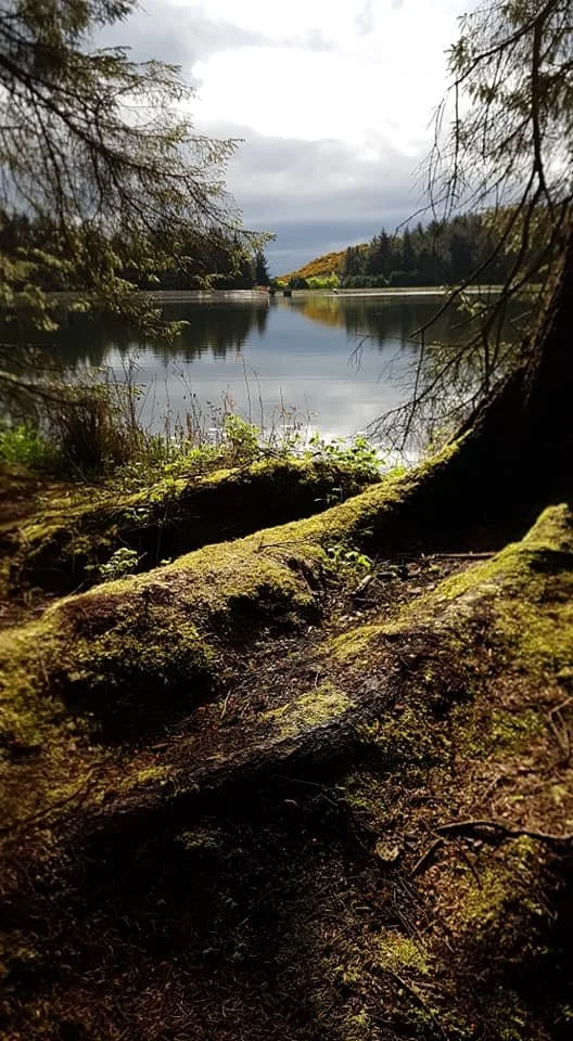 A view of Beecraigs loch