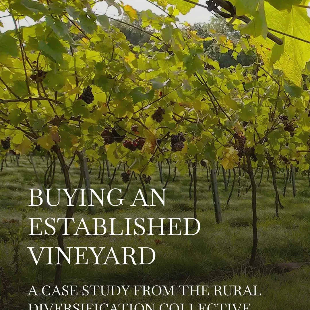 Really interesting to talk to @ruraldiversificationcollective about Higher Plot and the opportunities that buying into an established vineyard and wine business present. 

https://ruraldiversification.co.uk/category/case-studies/

#englishvineyardfor