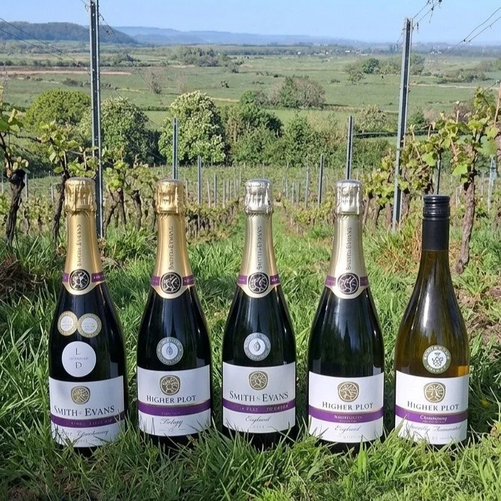 This will be fun! It's a amazing how infrequently we get to taste our wines alongside each other and so we thought that we'd invite a few people to share in the experience with a bit of cheese and charcuterie. It's May 13th at Langport Townhall. &pou