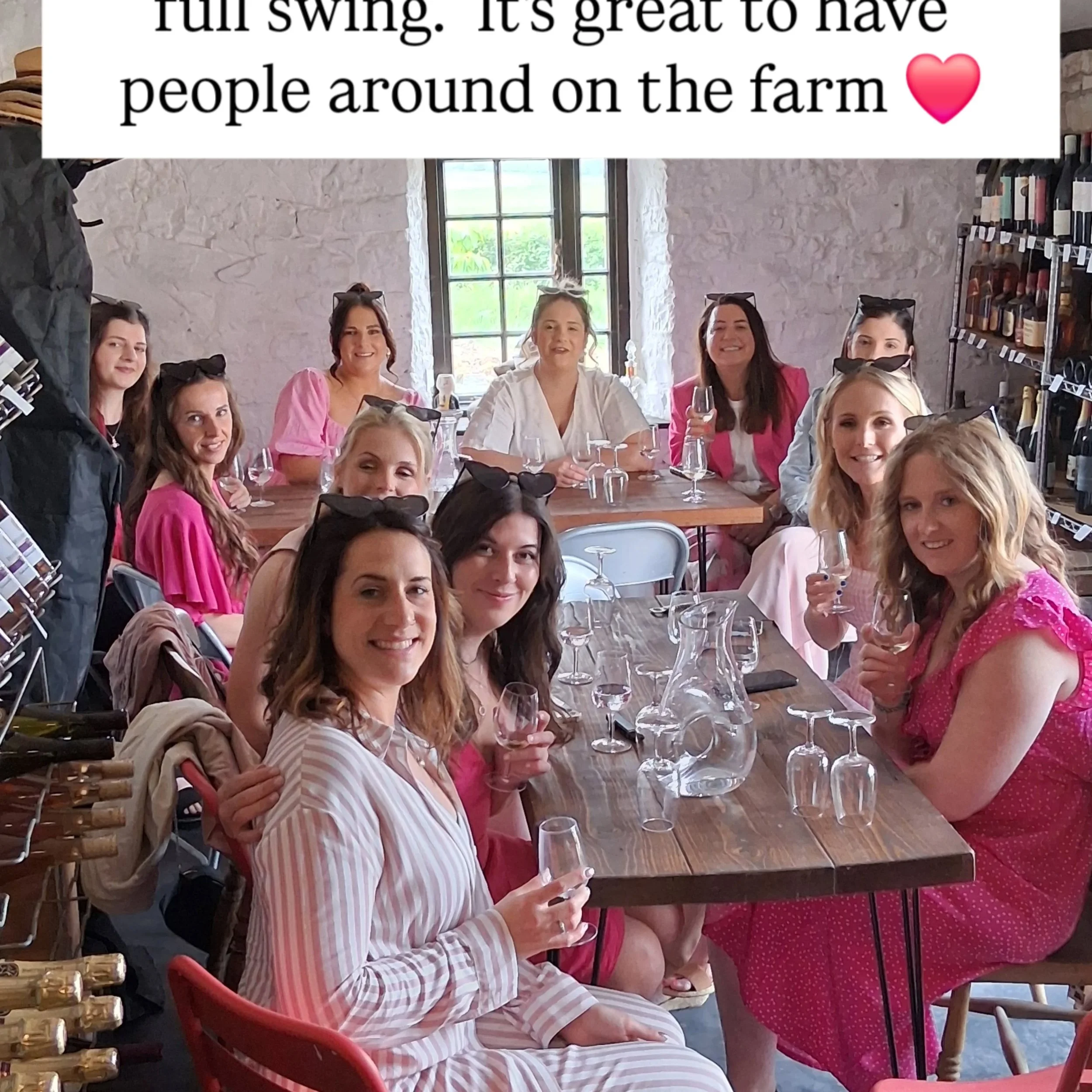 We still have spaces for private tours in June and July. Otherwise,  just call in on Saturdays between 10-4.00 pm for a walk through the vines and a tasting. #vineyardtour #somersetvineyard #thingstodolangport