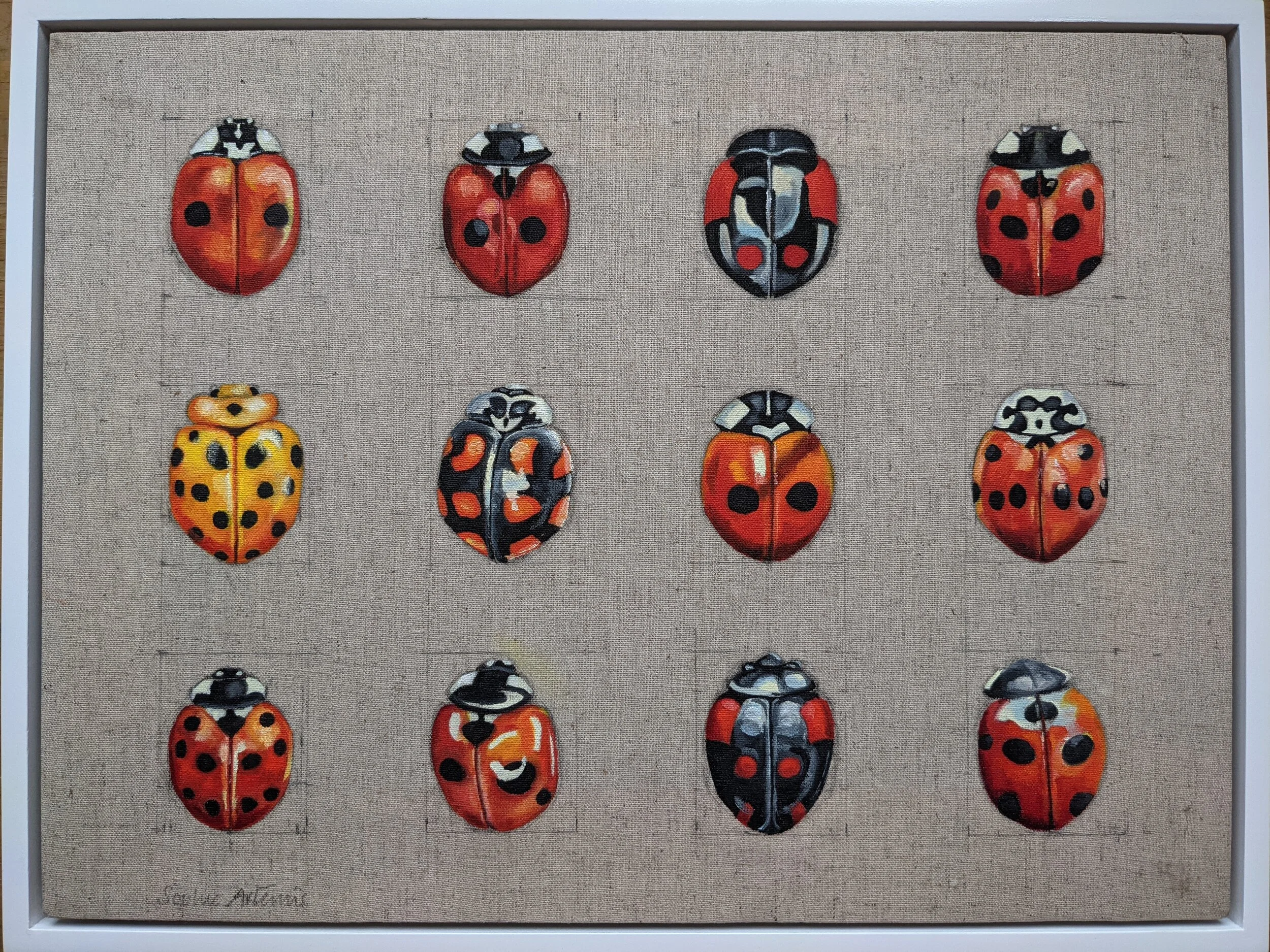 12 Ladybirds on Linen 32cm x 40cm 