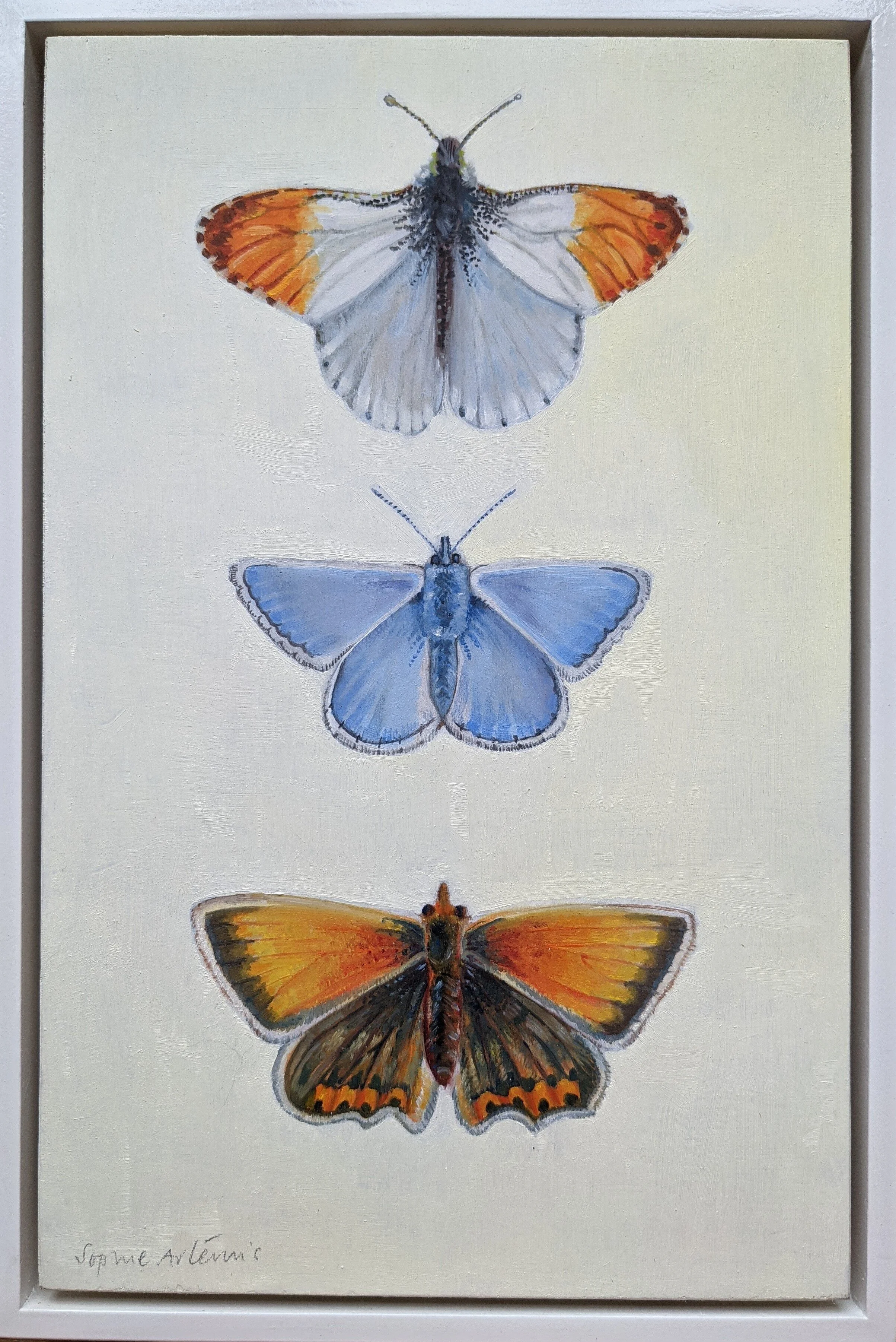 Butterfly Souls Oil on Wood panel 33cm x 22cm