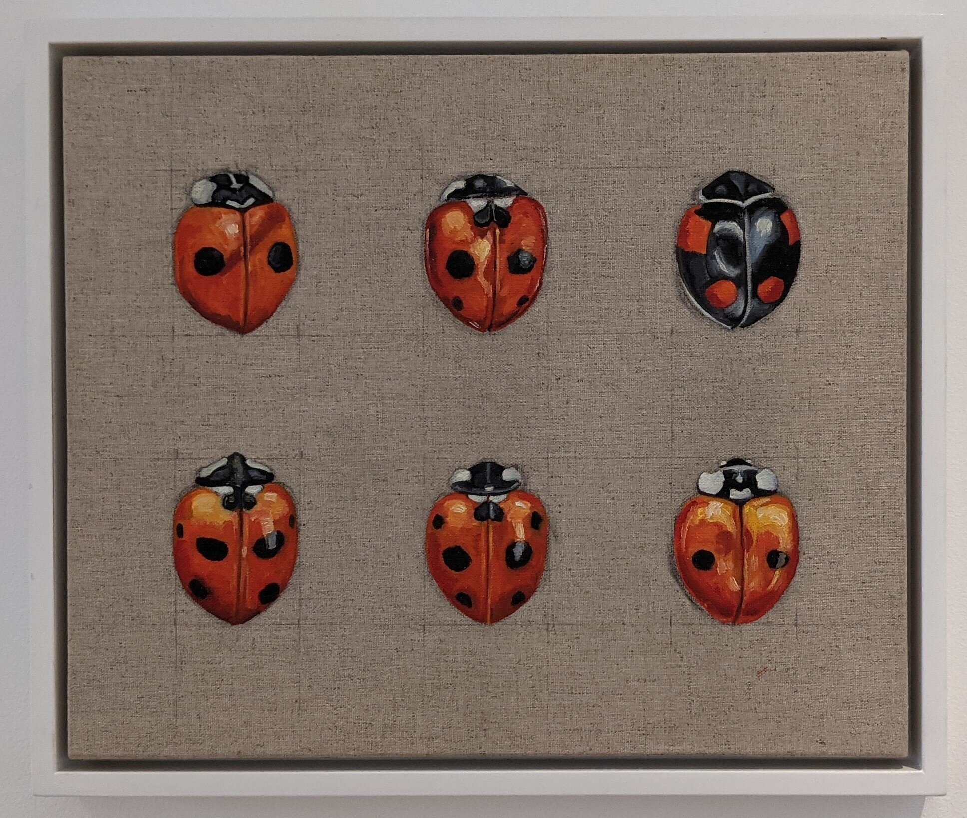 6 Ladybirds on Linen (sold)
