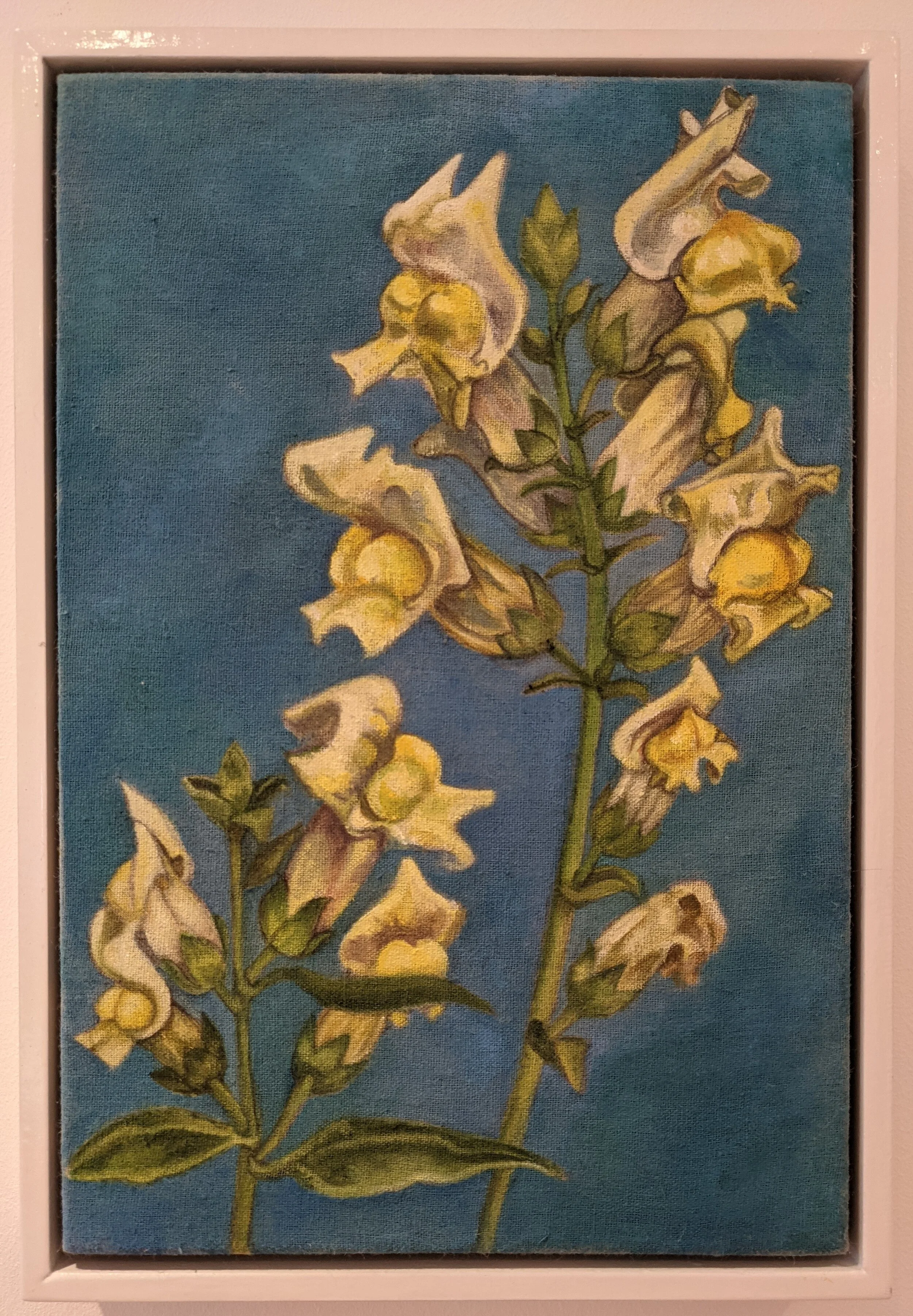 Snapdragon (oil on linen)