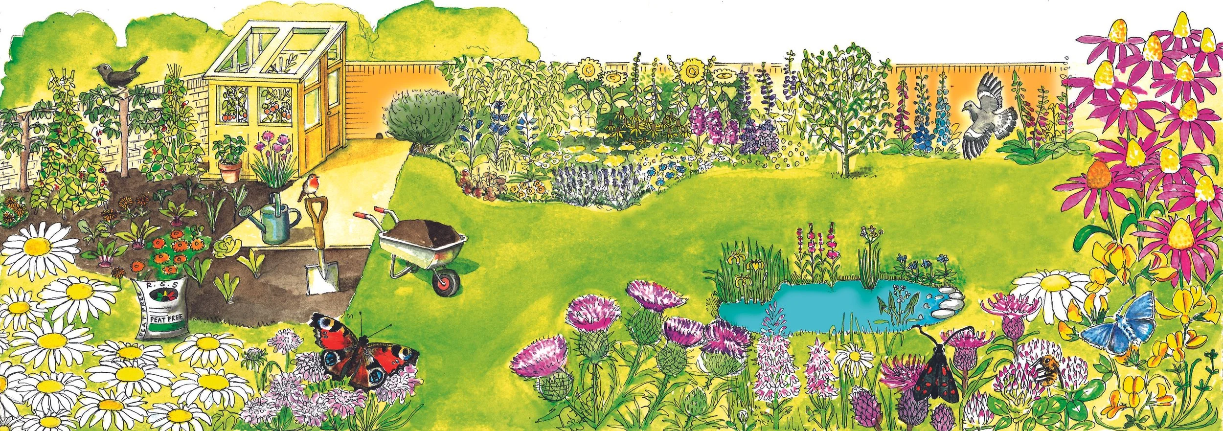 Wildlife Trust Magazine Summer 2024