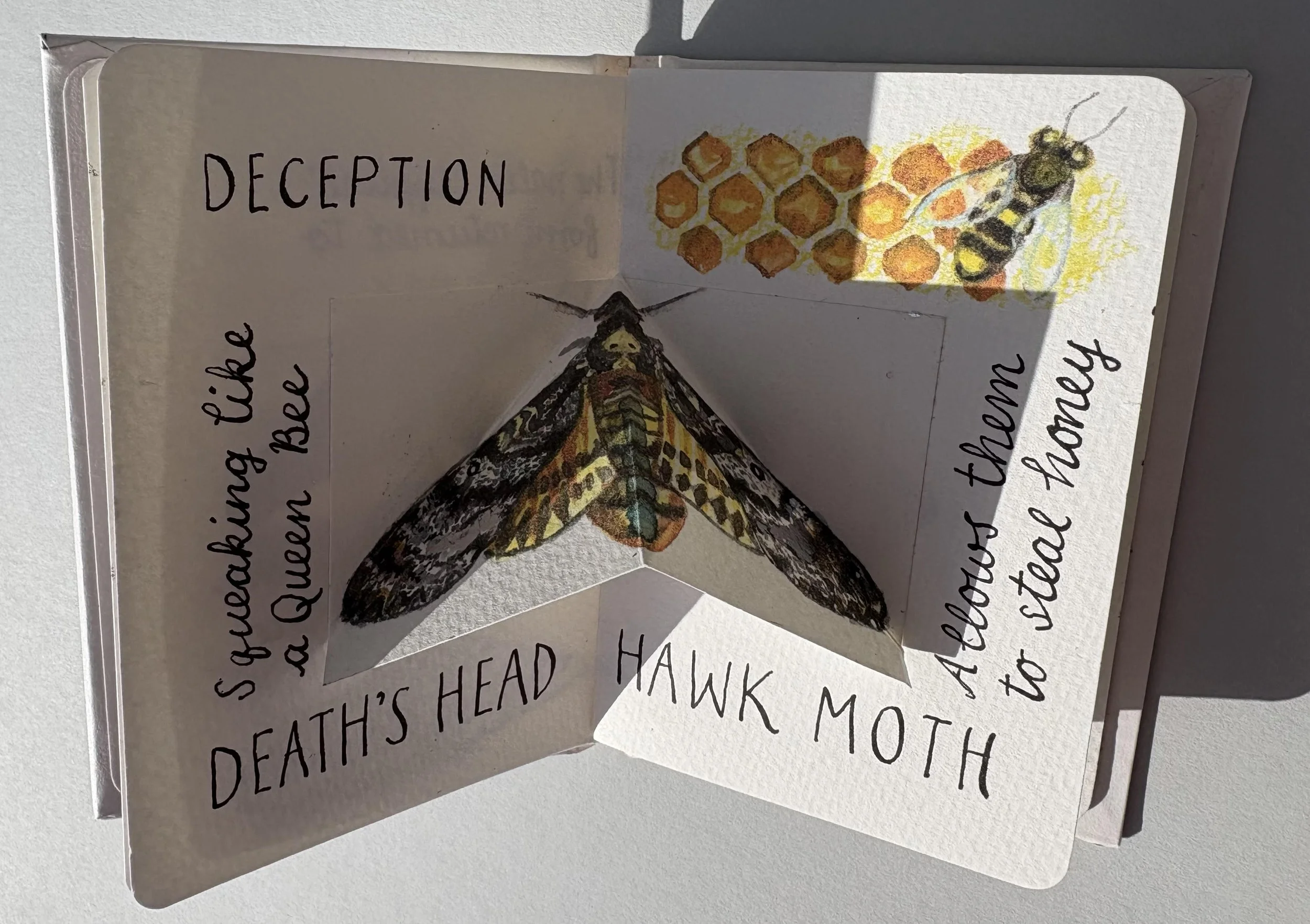 Magial Moths.jpg