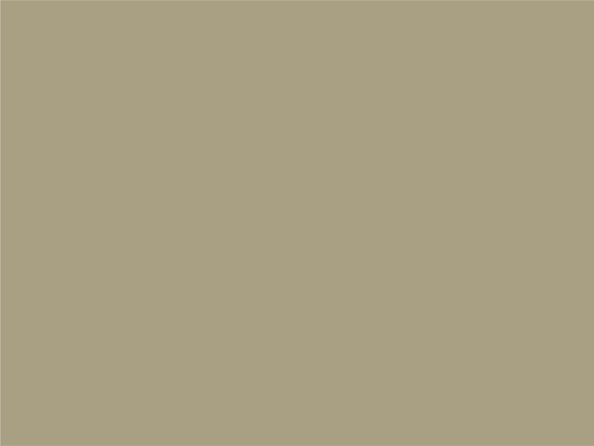 Background-Suede.png