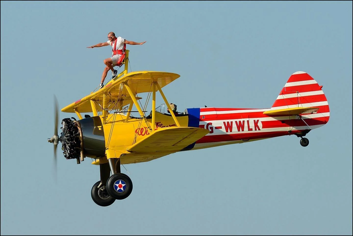 Wolo Wing Walk