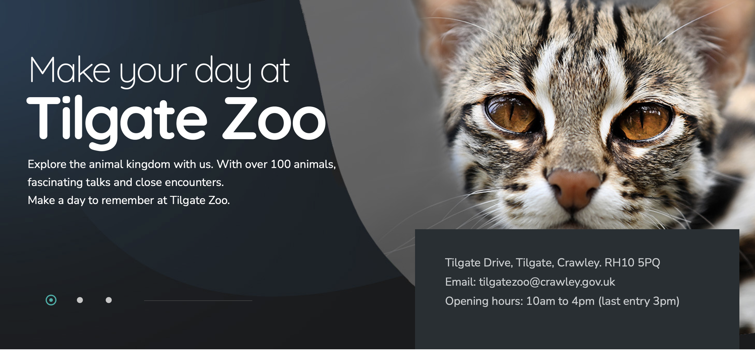 A Day at Tilgate Zoo