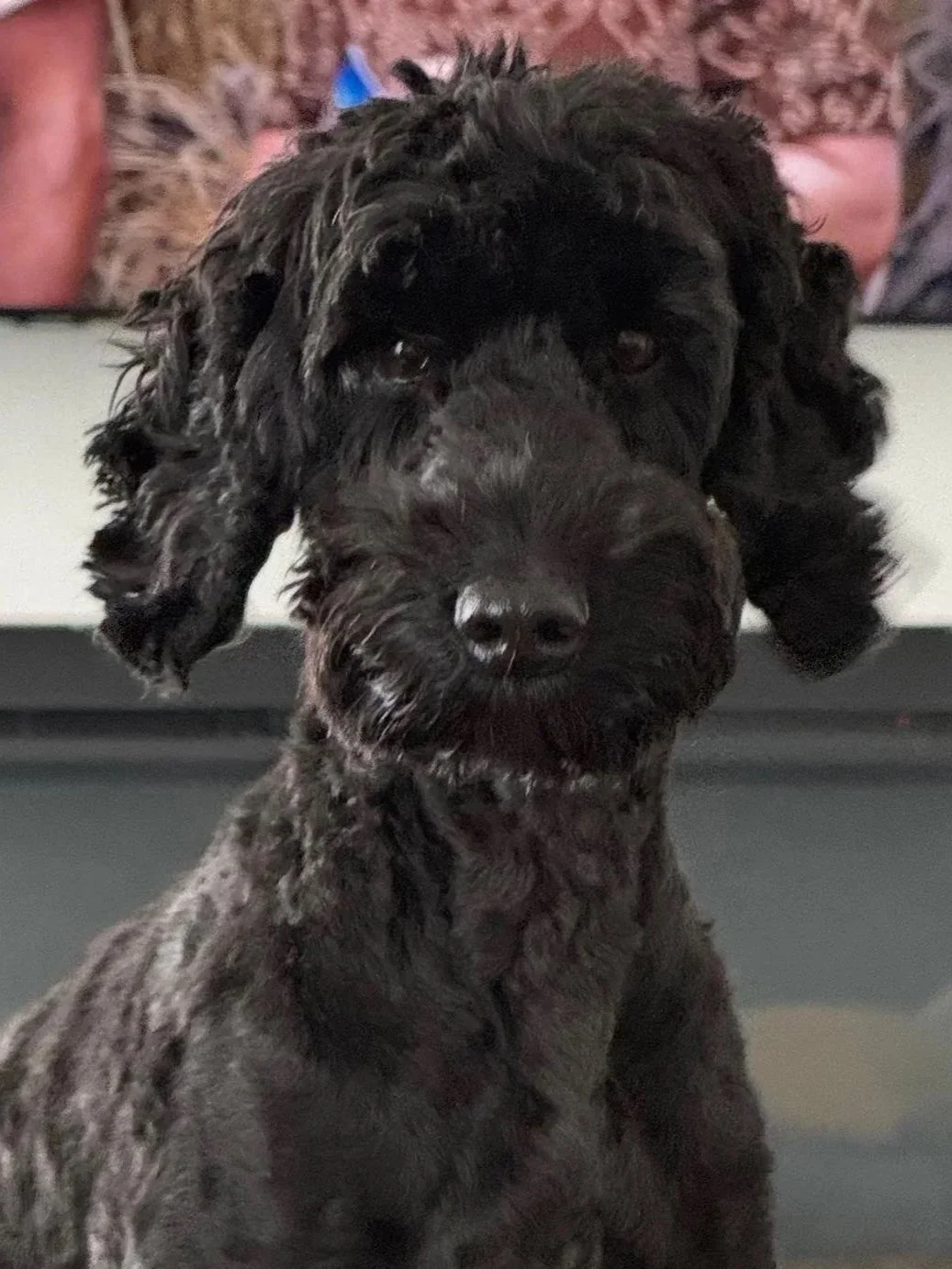 Charlie