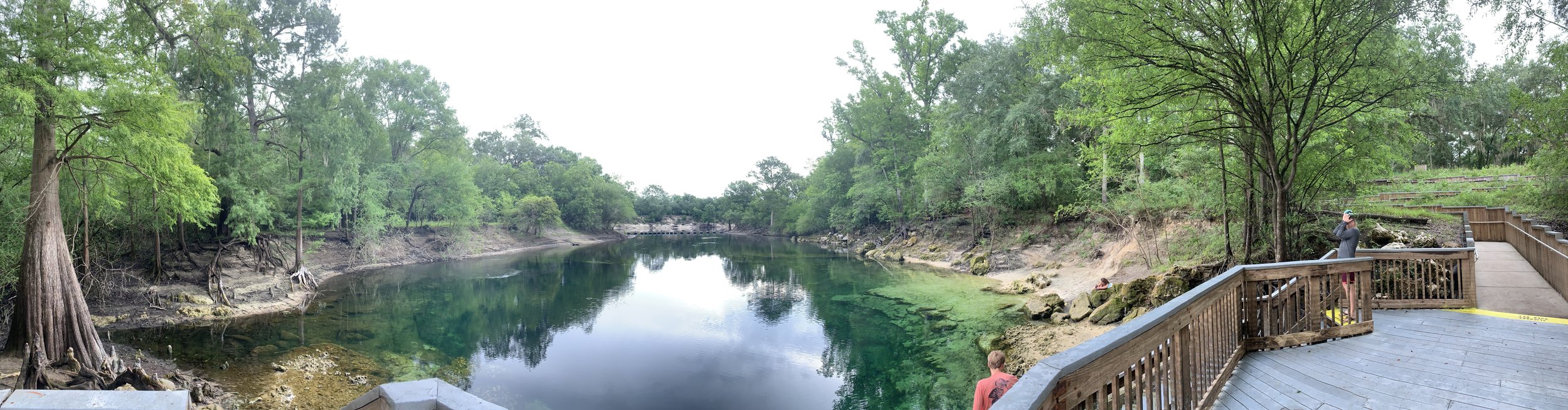 Troy Springs and Spring Run connection to the Suwannee River