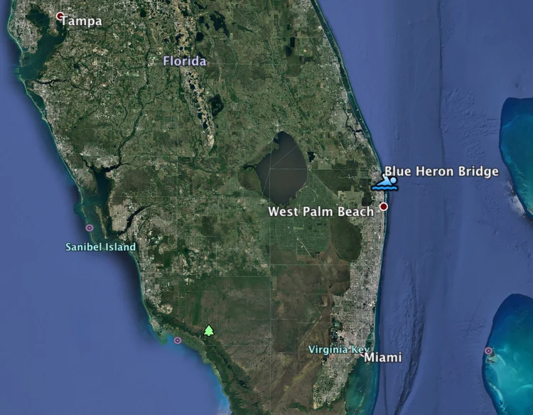 Blue Heron Bridge Live Free Diving