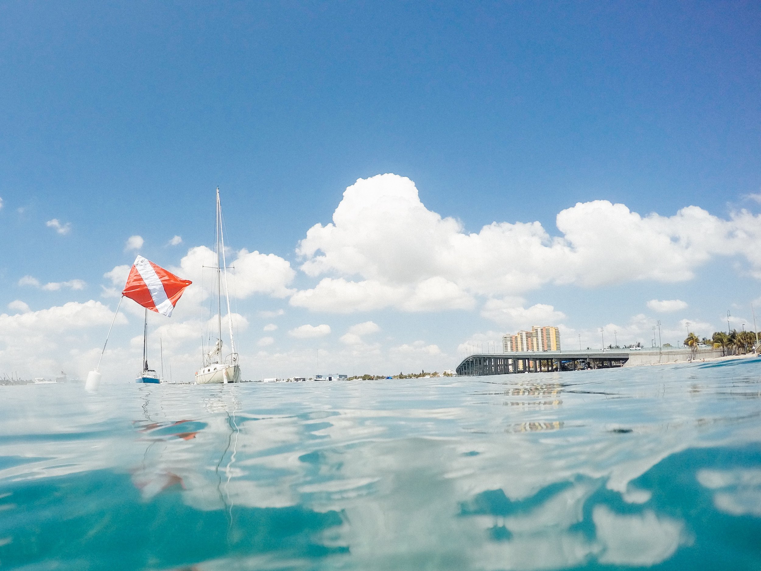 Snorkeling the Blue Heron Bridge