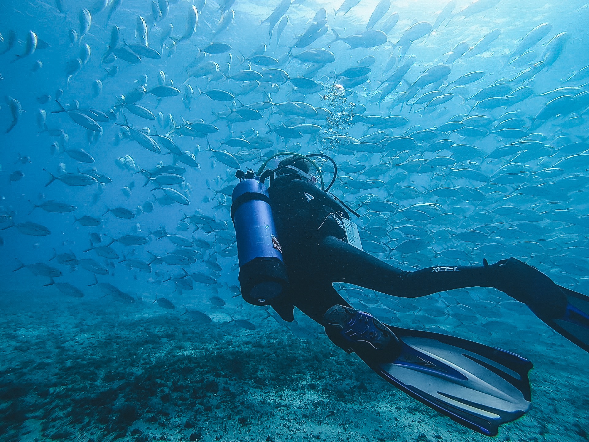 SCUBA Diving the Blue Heron Bridge