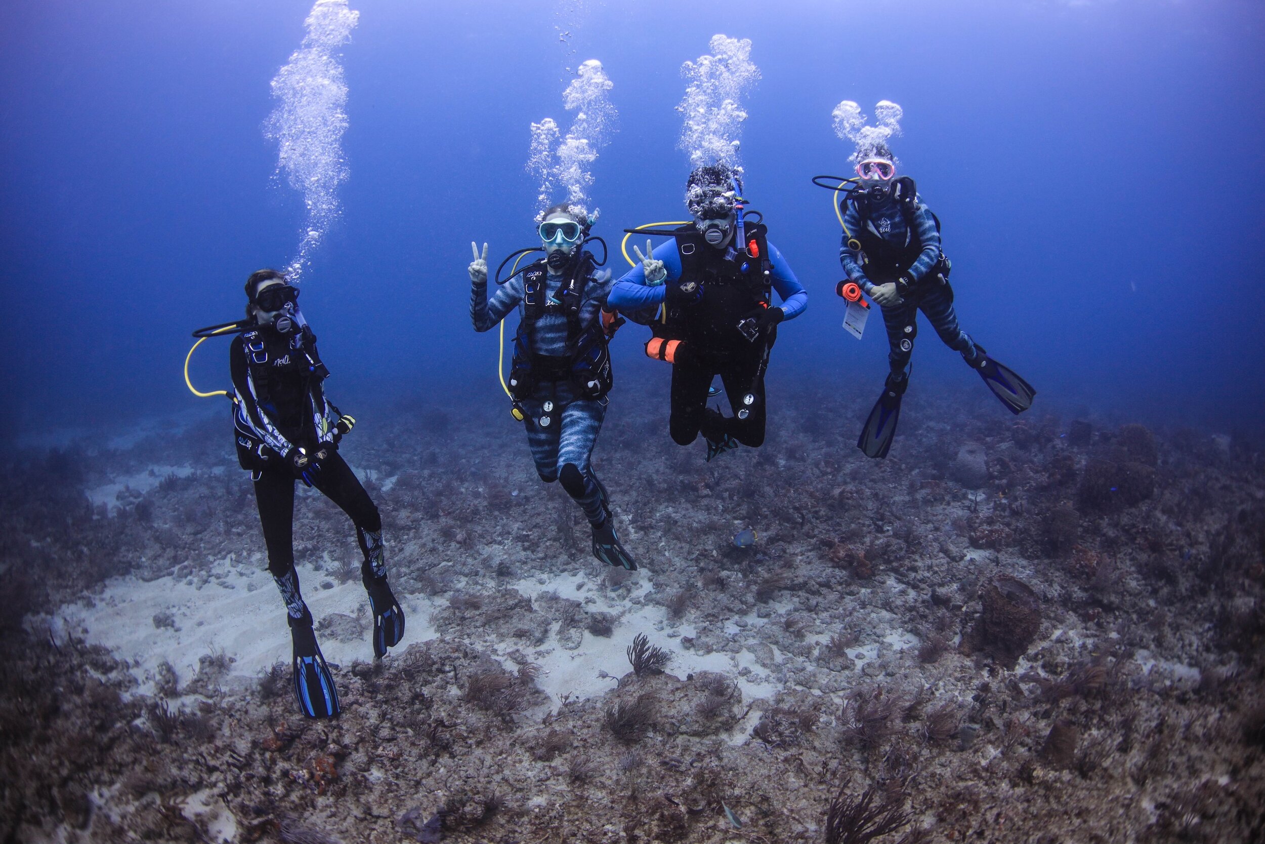 SCUBA Diving Breakers Reef- Palm Beach, FL