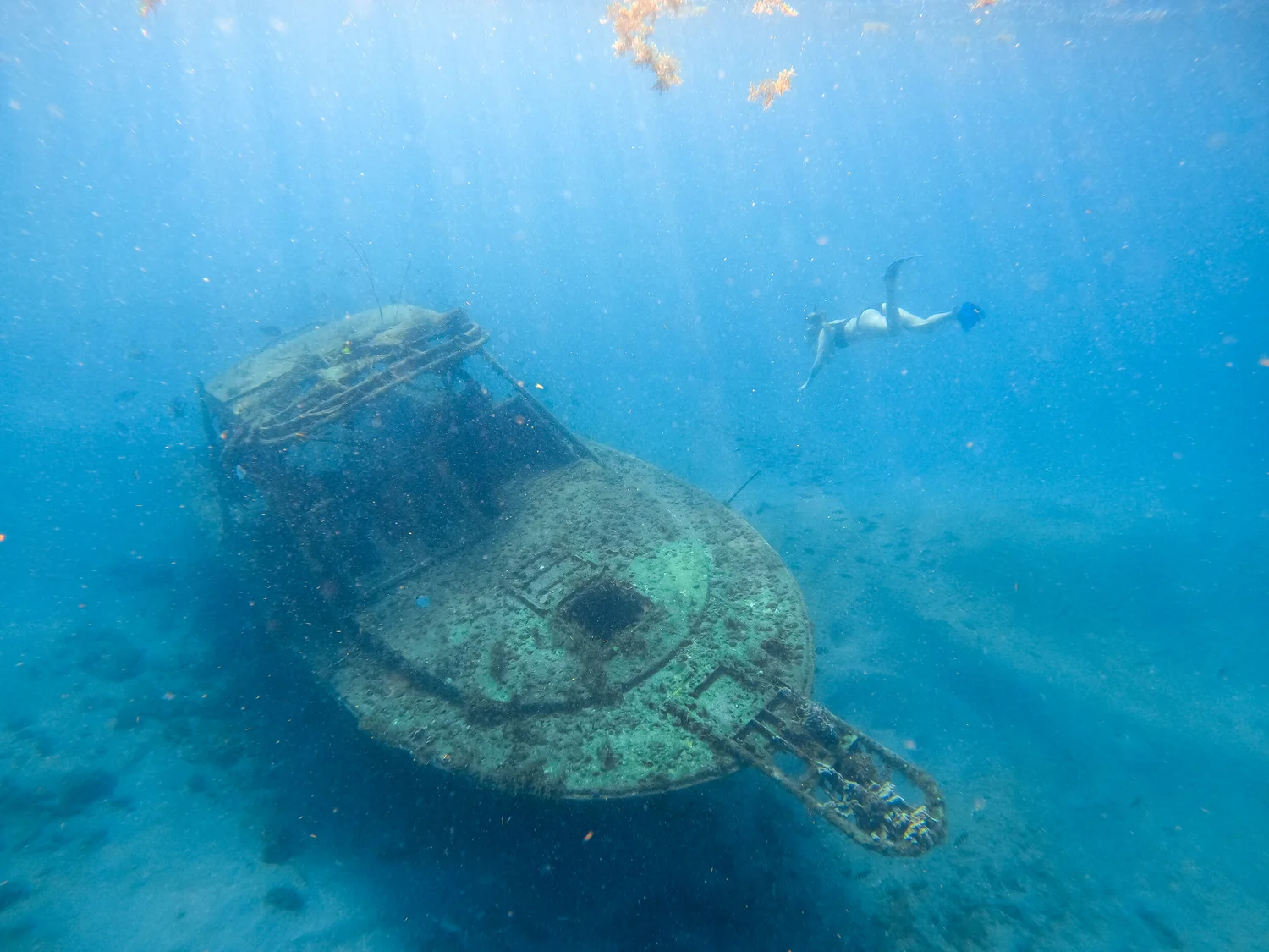 Blue Heron Bridge | Live Free Diving