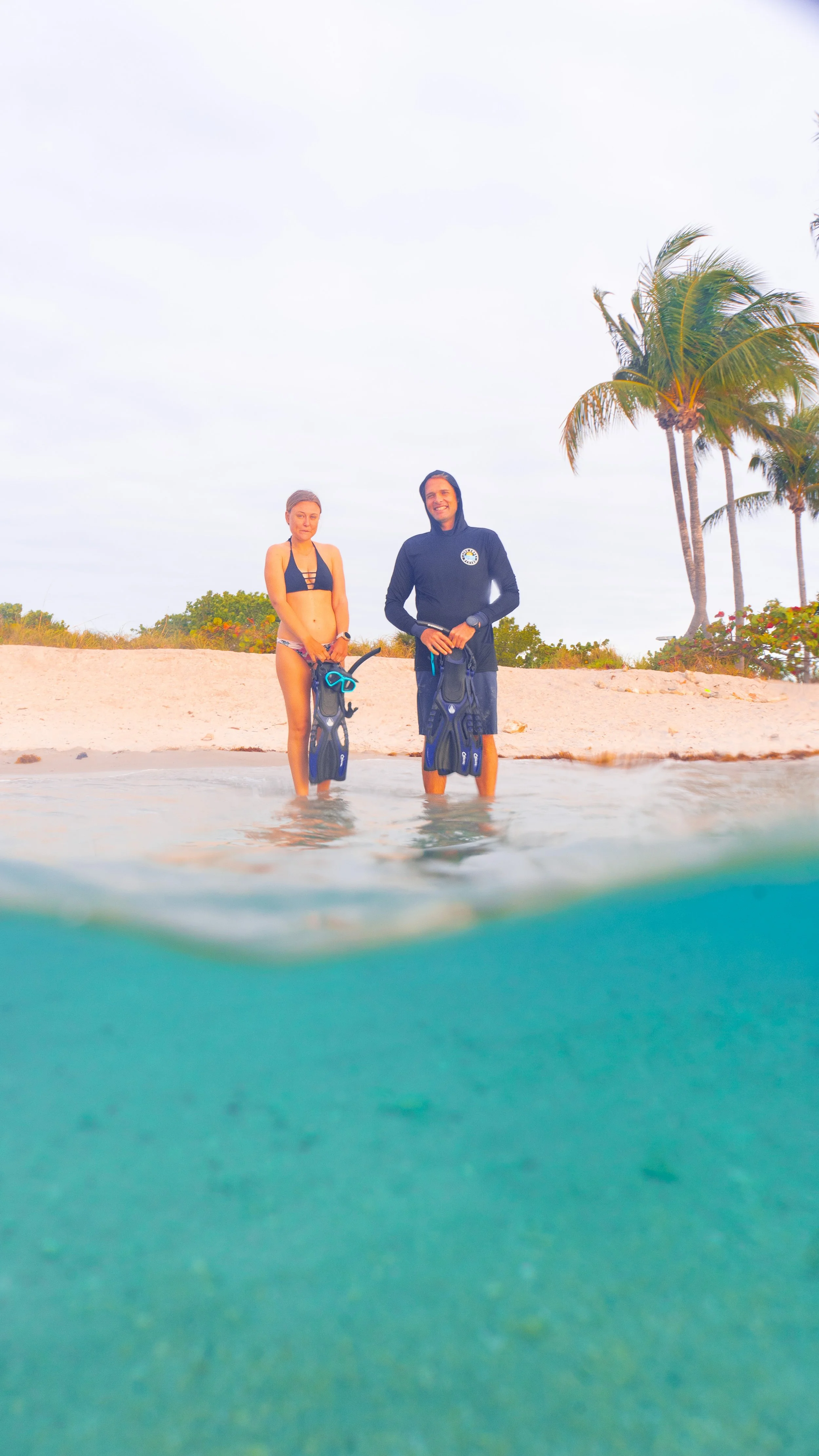 Peanut Island Snorkeling and Other Things to Do Live Free Diving